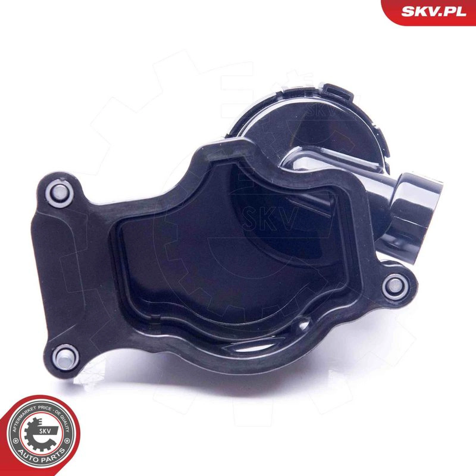 SKV GERMANY Ventil 31SKV070