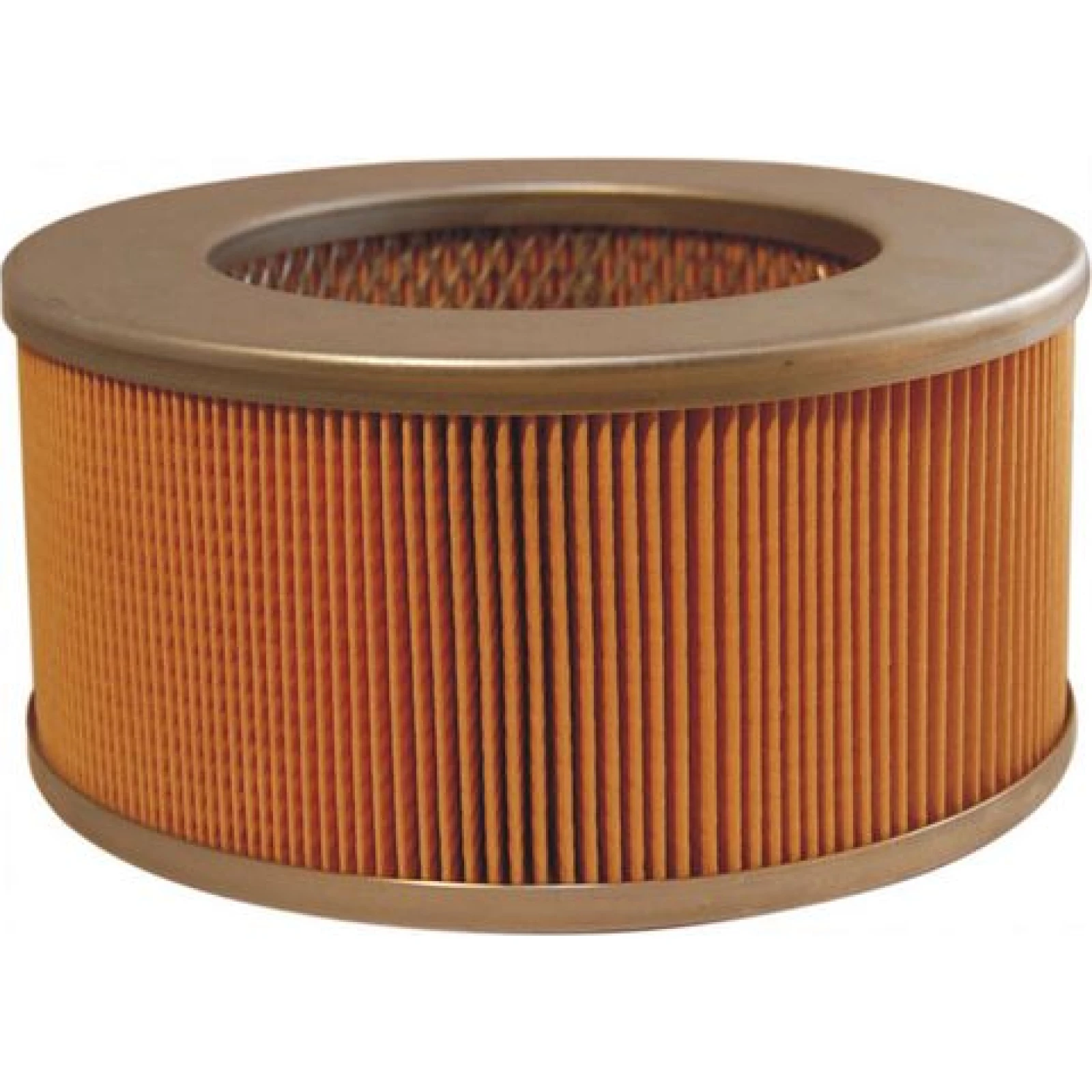 FILTRON Luftfilter AM 427