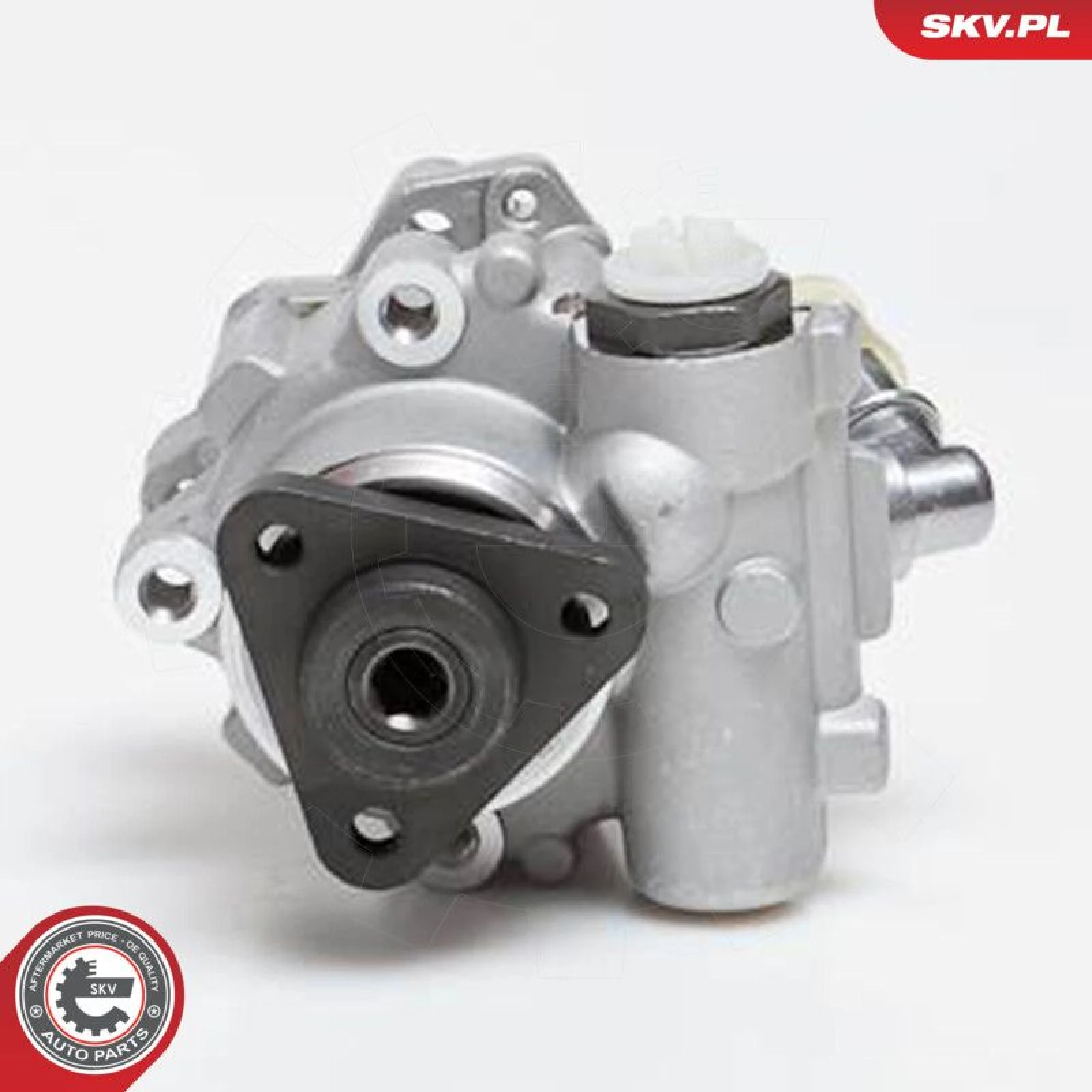 SKV GERMANY Hydraulikpumpe 10SKV014