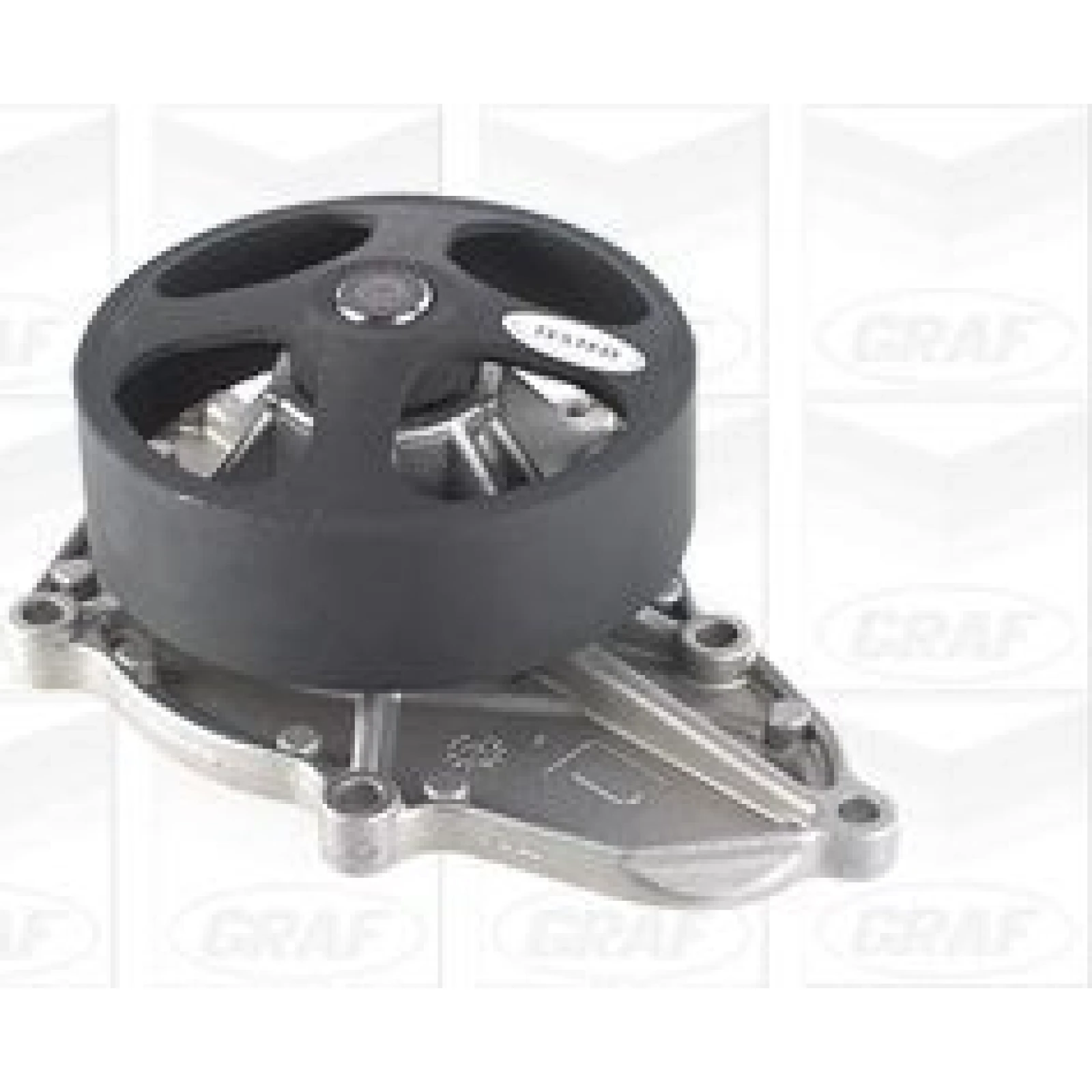 PA 1244 Wasserpumpe PA1244
