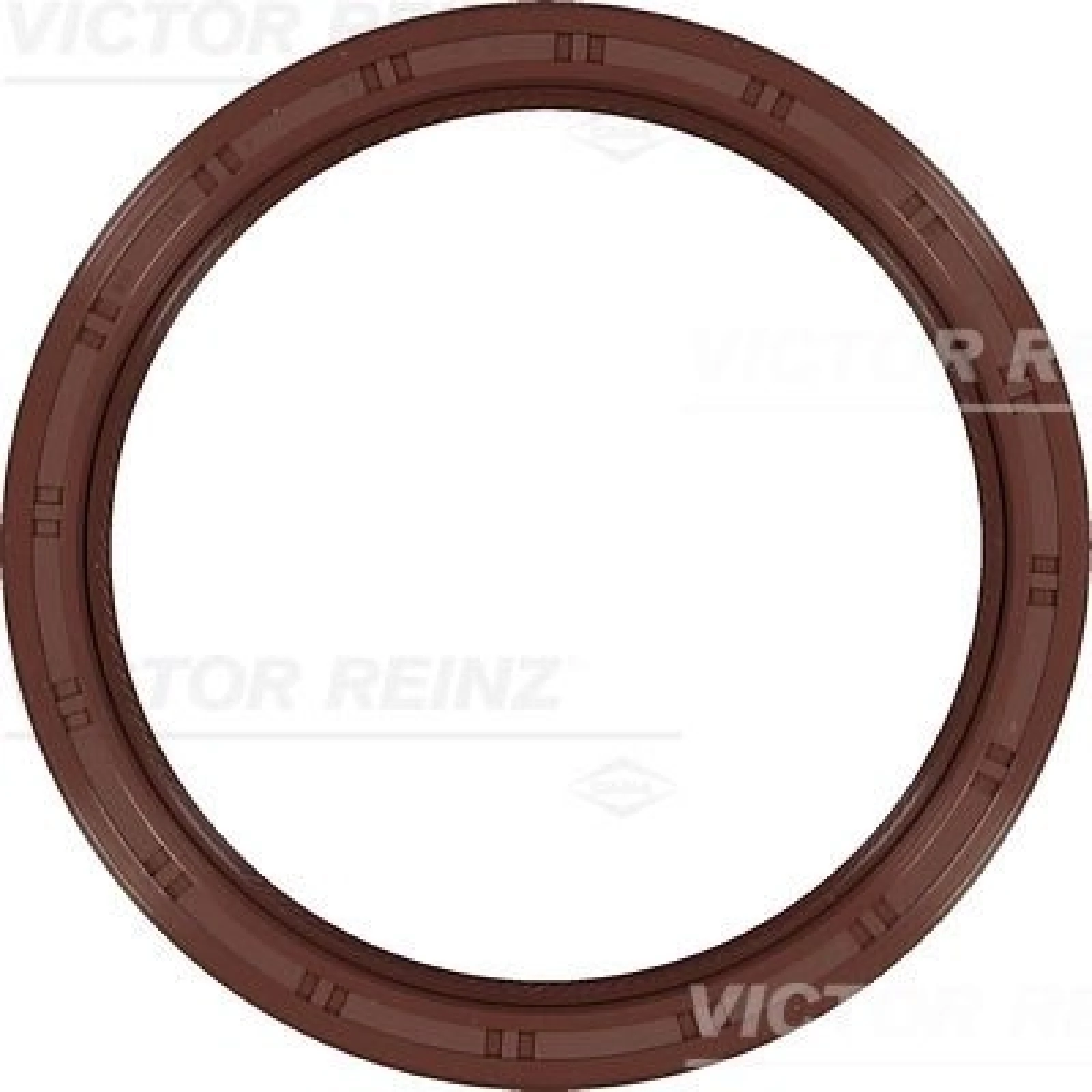 Wellendichtring Kurbelwelle 81-10386-00