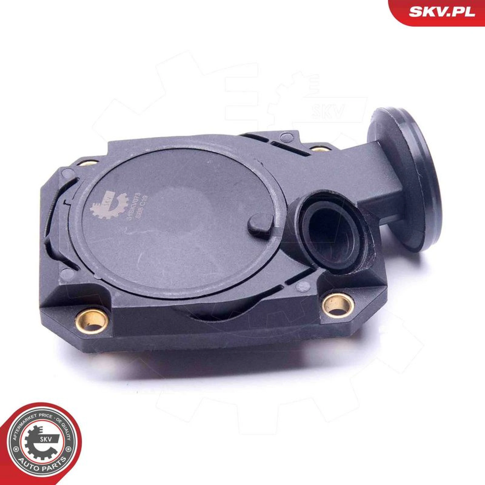 SKV GERMANY Ventil 31SKV073