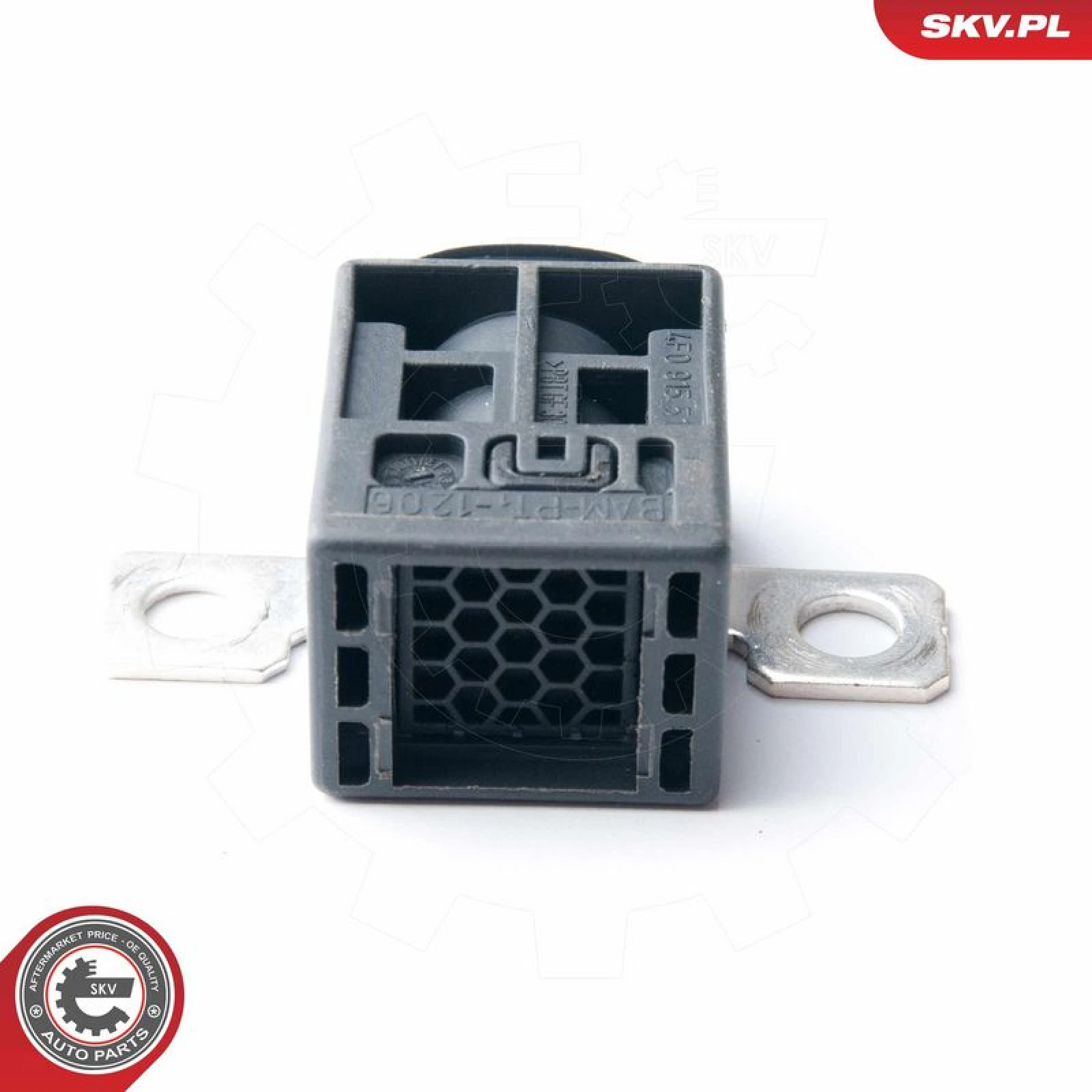 ESEN SKV Sensor, Batteriemanagement 96SKV004