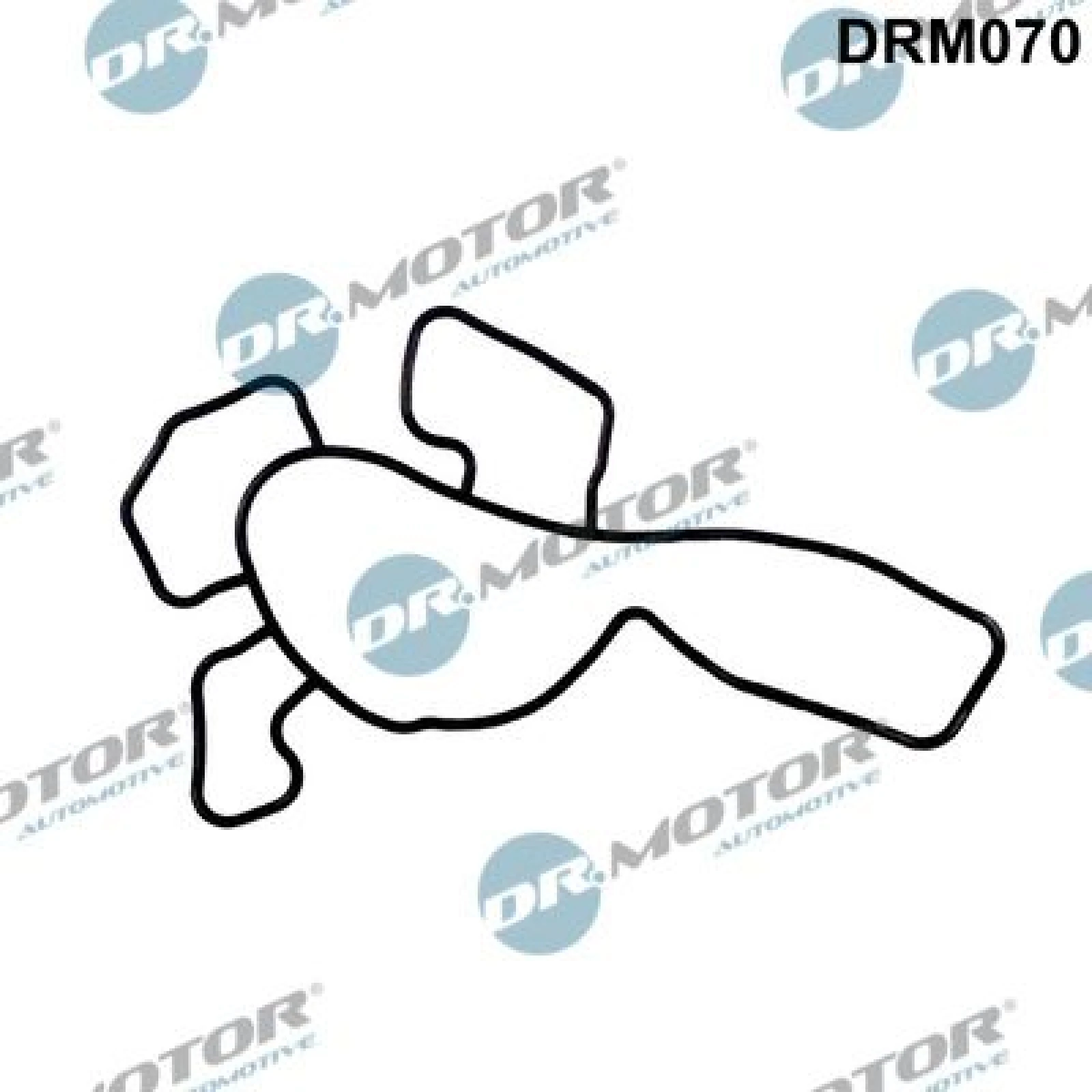 Dichtung, Wasserpumpe DRM070