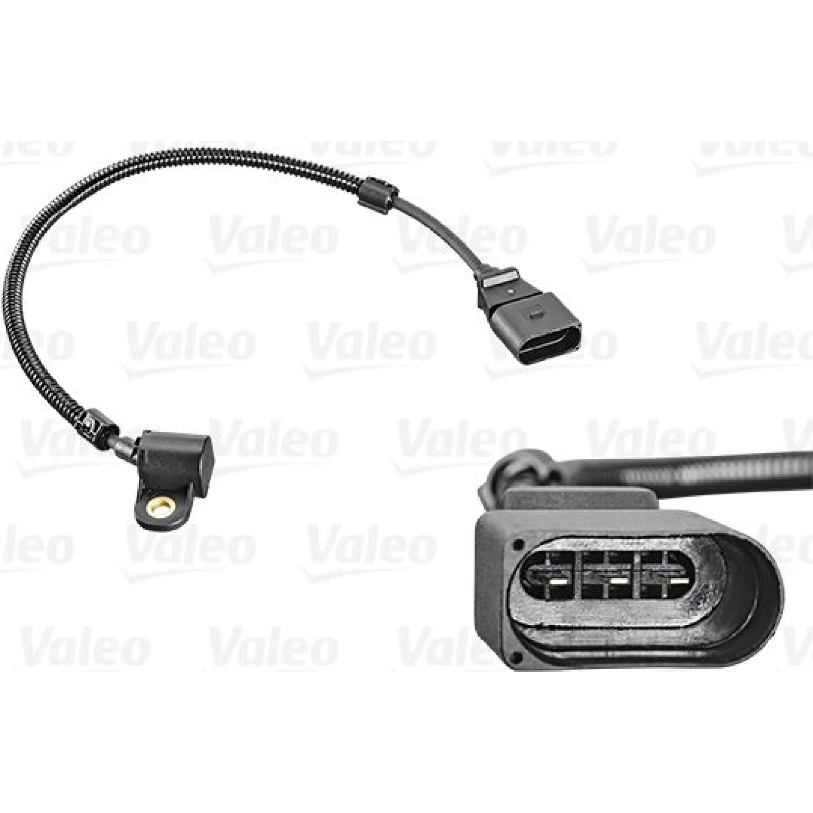 Sensor, Nockenwellenposition 253807