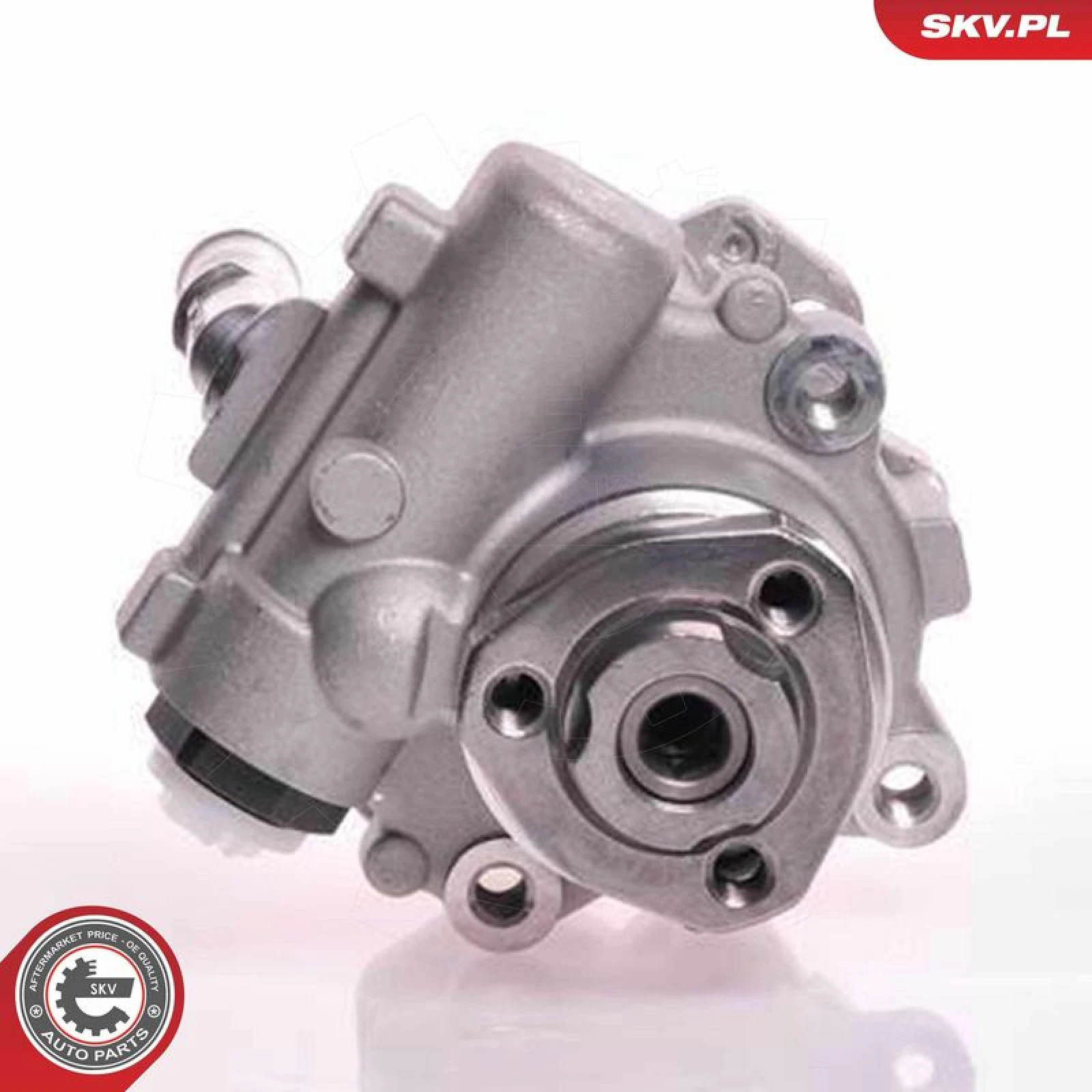 SKV GERMANY Hydraulikpumpe 10SKV166