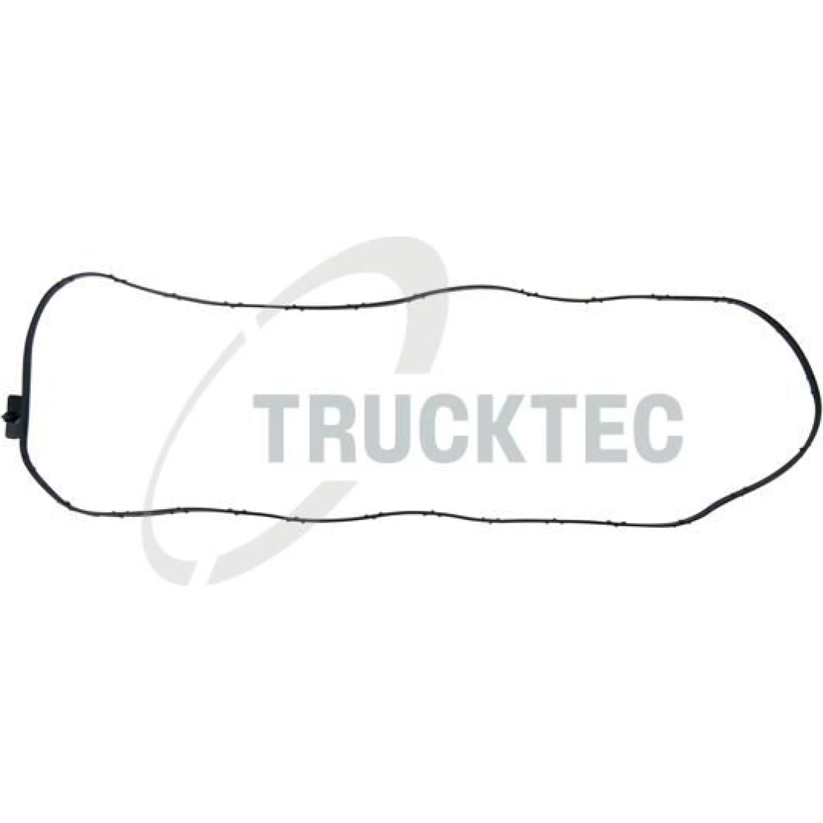 TRUCKTEC AUTOMOTIVE Versiegelung 08.25.019