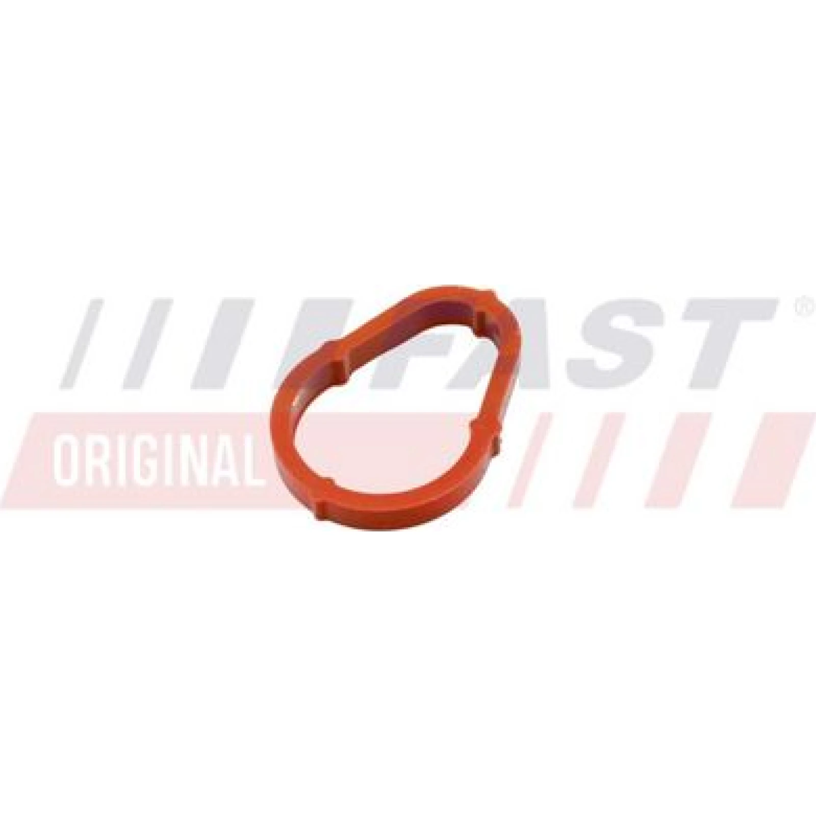 FAST Dichtung, Unterdruckpumpe FT50702