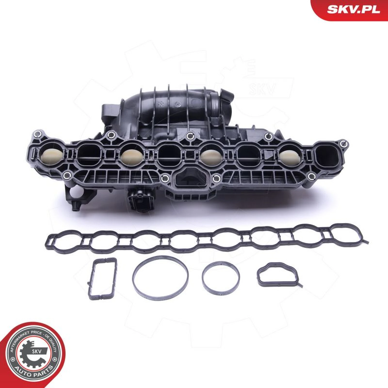 SKV GERMANY Leitung 49SKV030