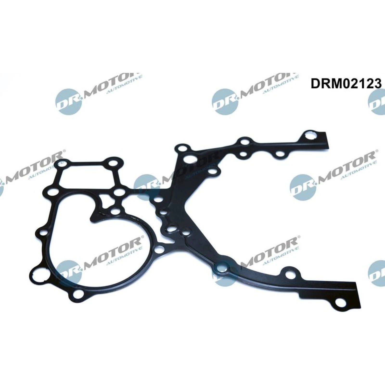 DICHTUNG, STEUERGEHÄUSE DRM02123