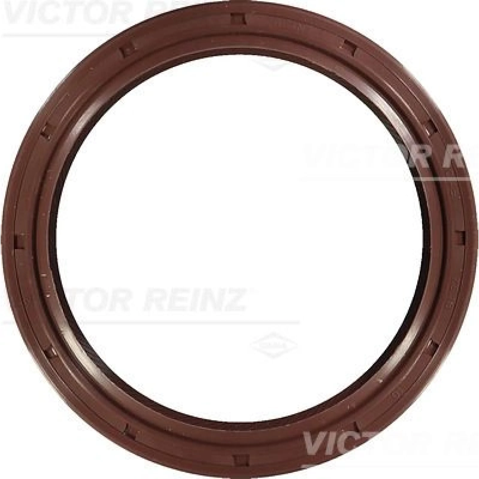 Wellendichtring Kurbelwelle 81-20286-00