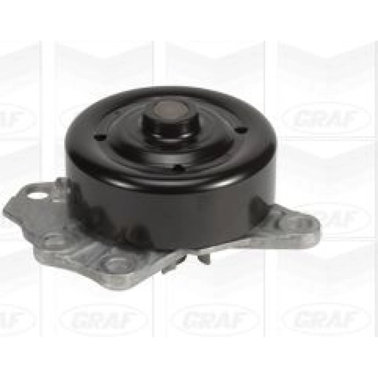 PA 1020 Wasserpumpe PA1020