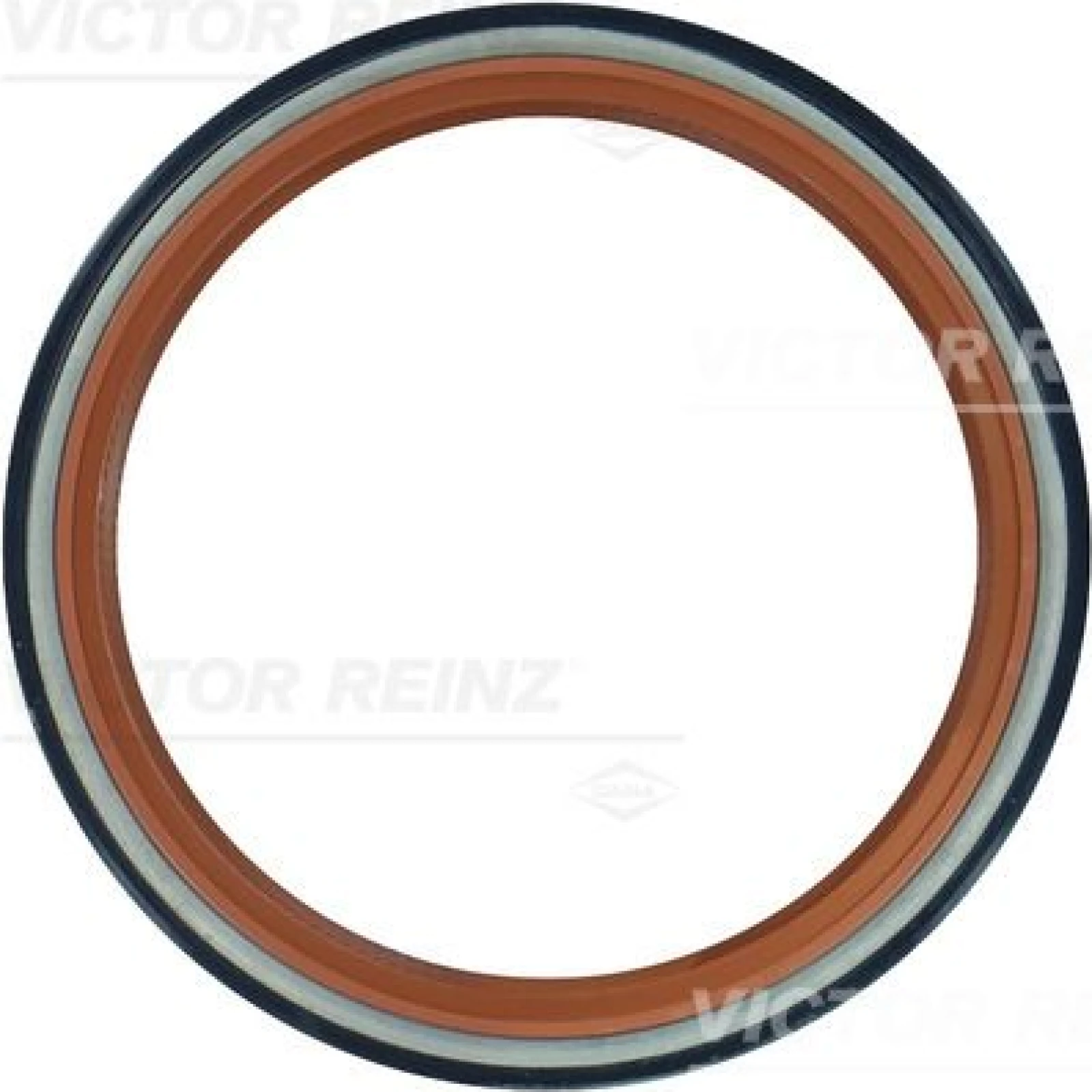 Wellendichtring Kurbelwelle 81-20589-20