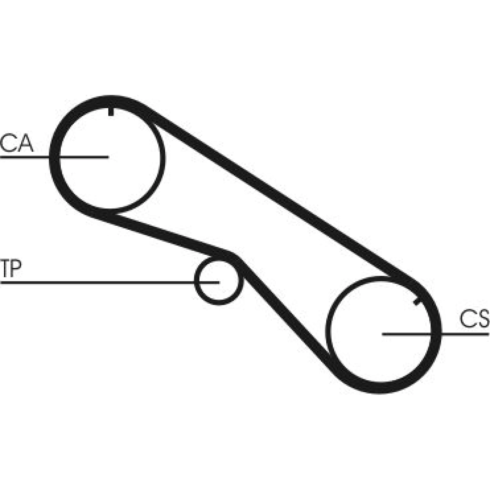 Continental CTAM Zahnriemen CT818