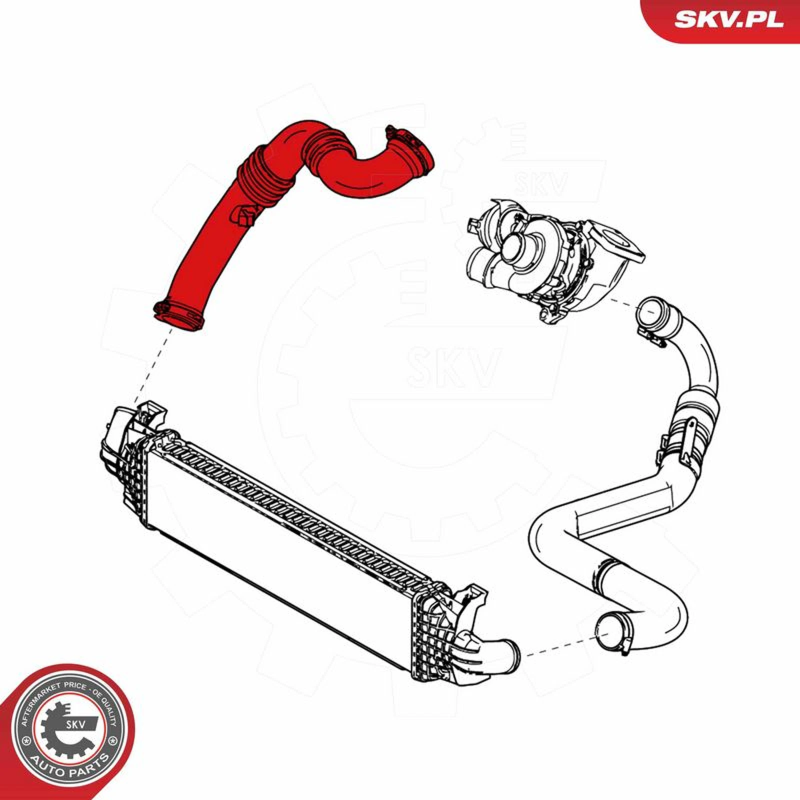 SKV GERMANY Luftschlauch 24SKV802