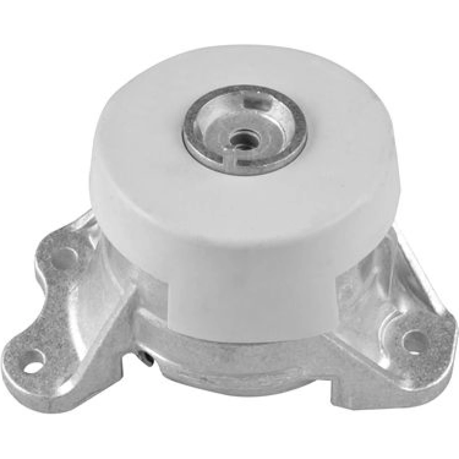 TEDGUM_TD Lagerung, Motor TED49389