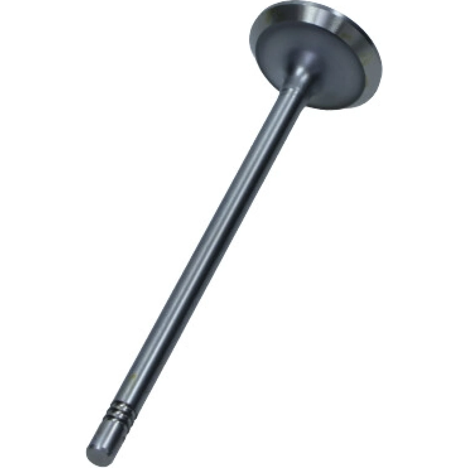 Auslassventil Fiat 2.3 16V Jtd PFIA162-A-0-N