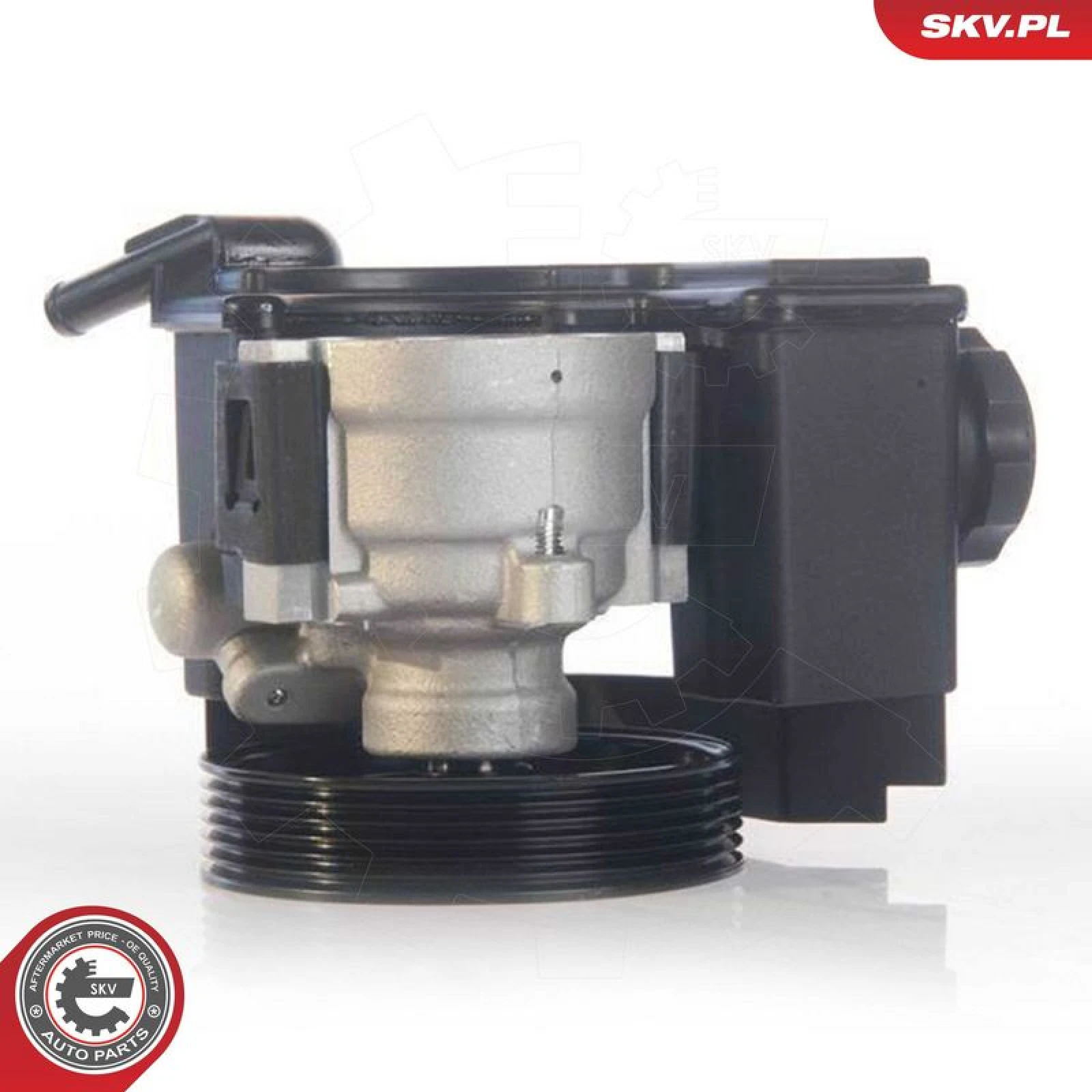 SKV GERMANY Hydraulikpumpe 10SKV171