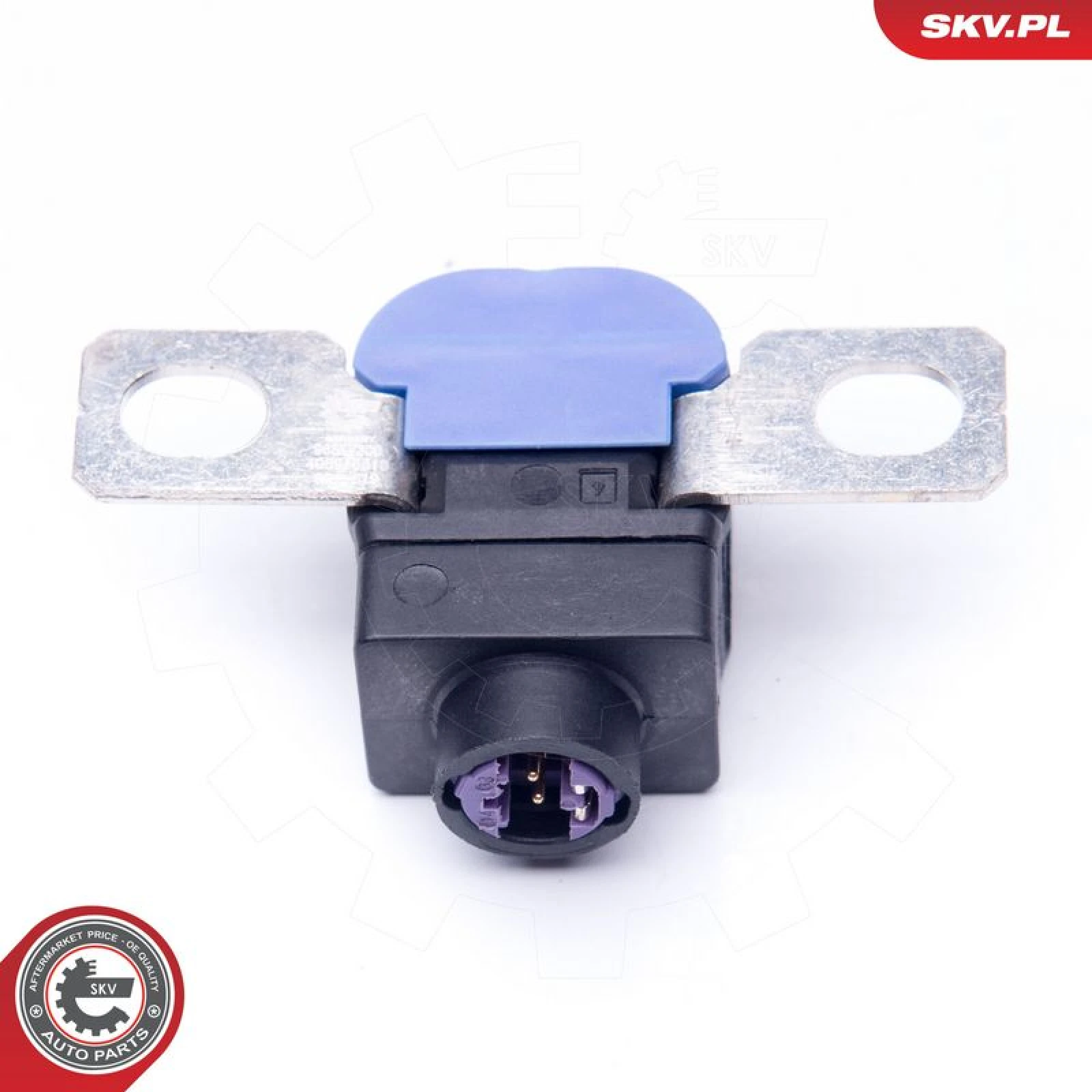 SKV GERMANY Sensor 96SKV300