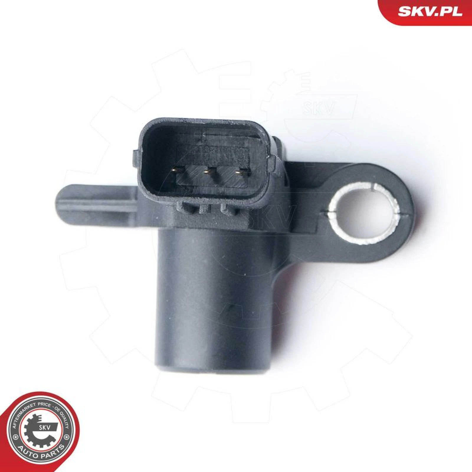 SKV GERMANY Positionssensor 17SKV251