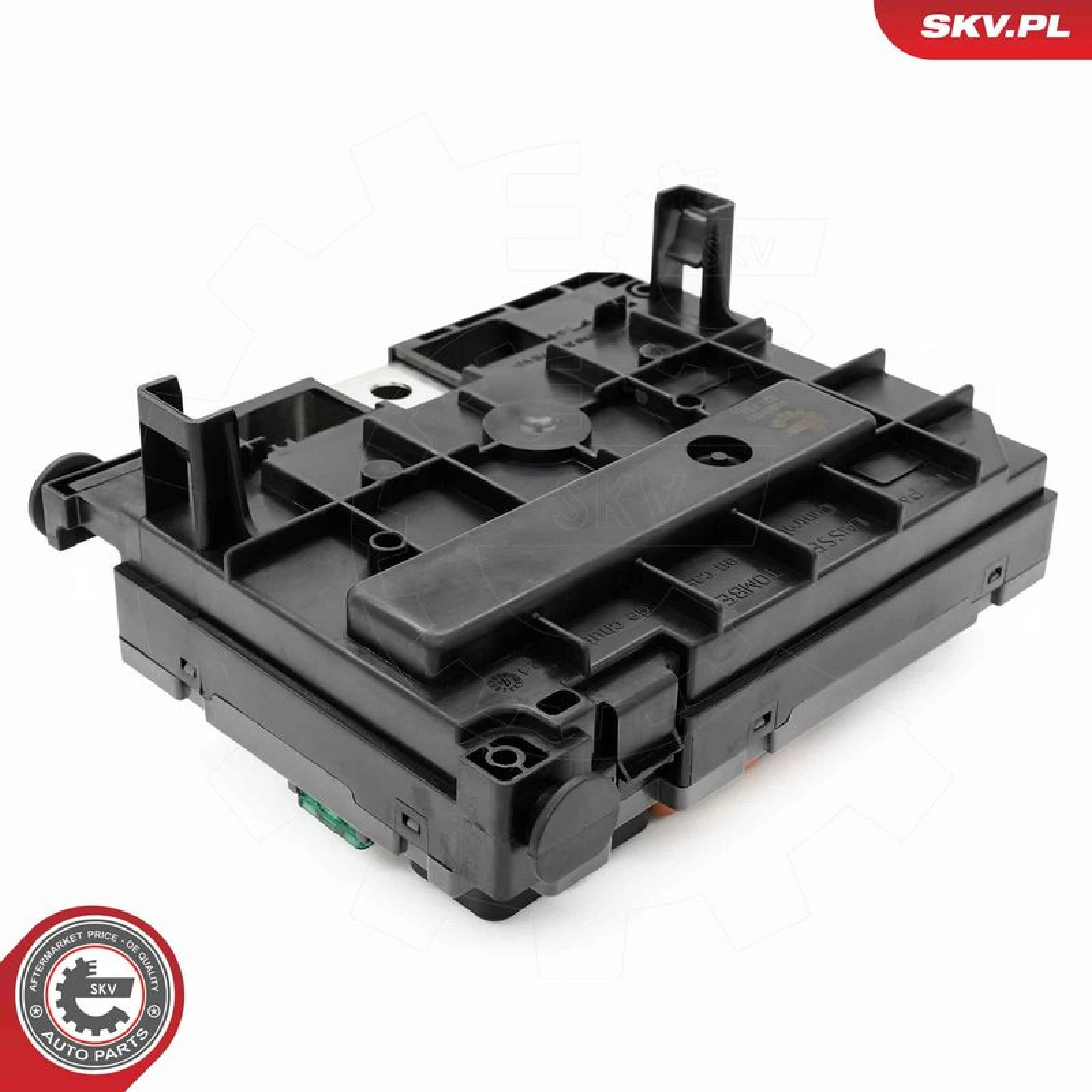 ESEN SKV Steuergerät, Motormanagement 96SKV323