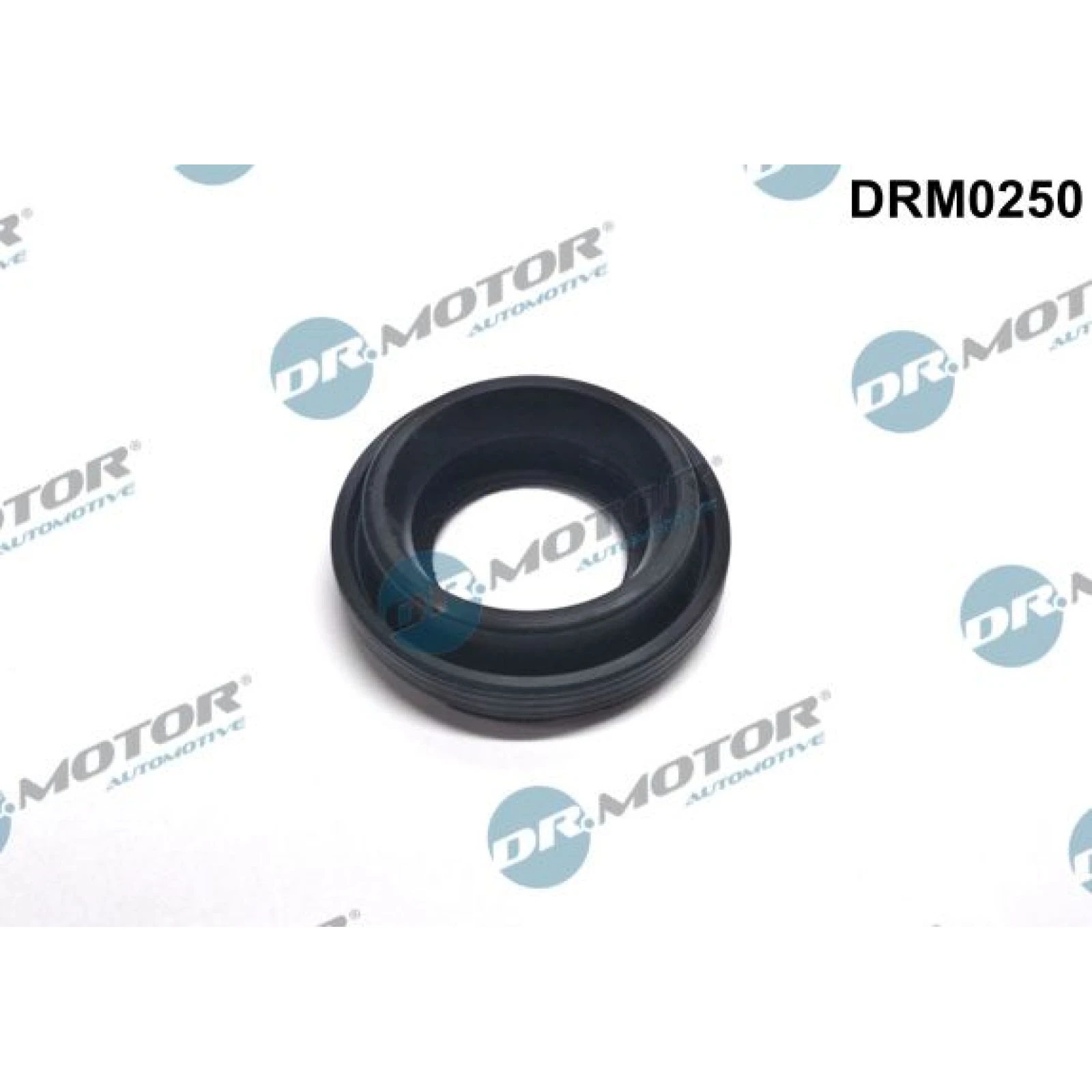 DR.MOTOR Dichtungssatz Einspritzdüse DRM0250
