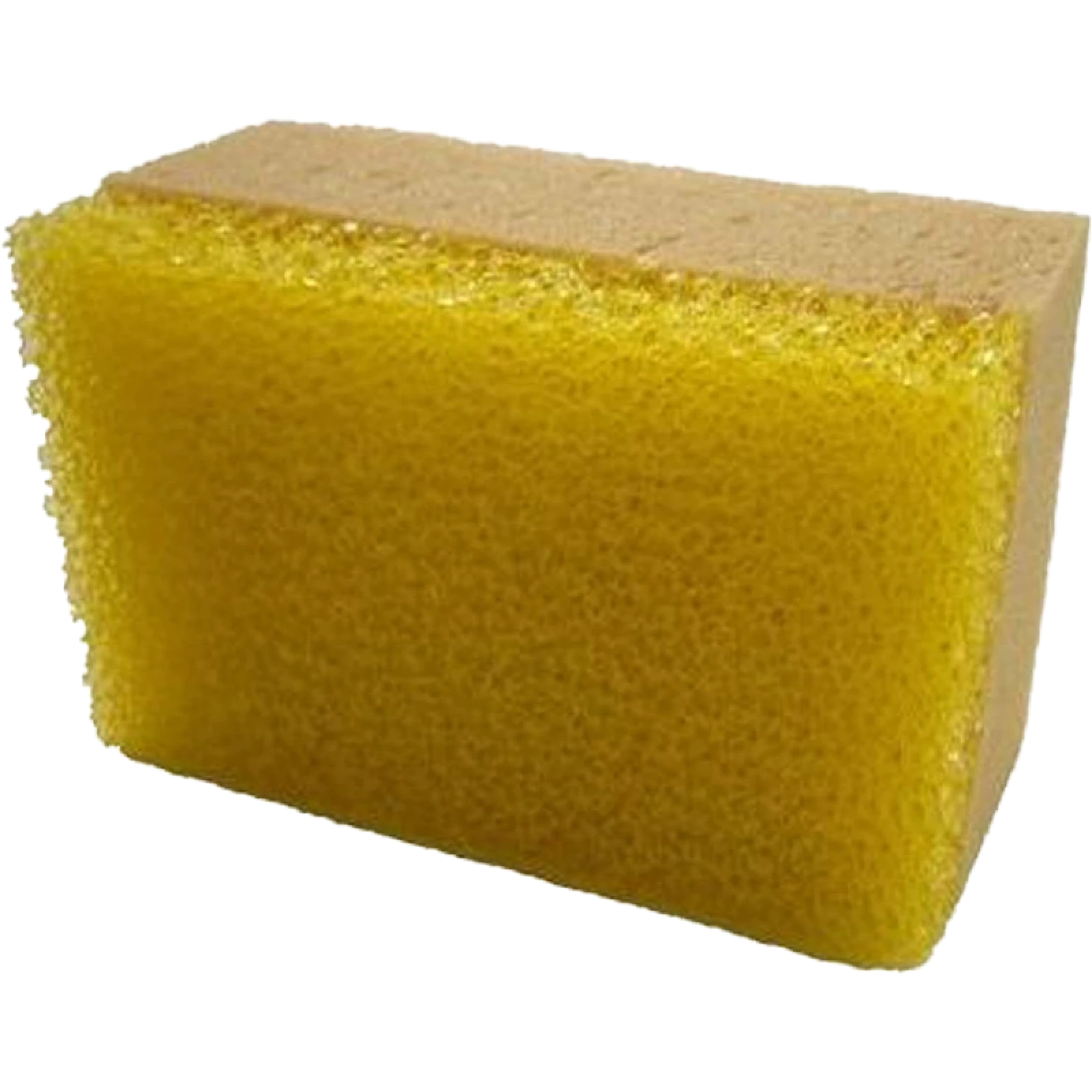 Insektenschwamm 91111