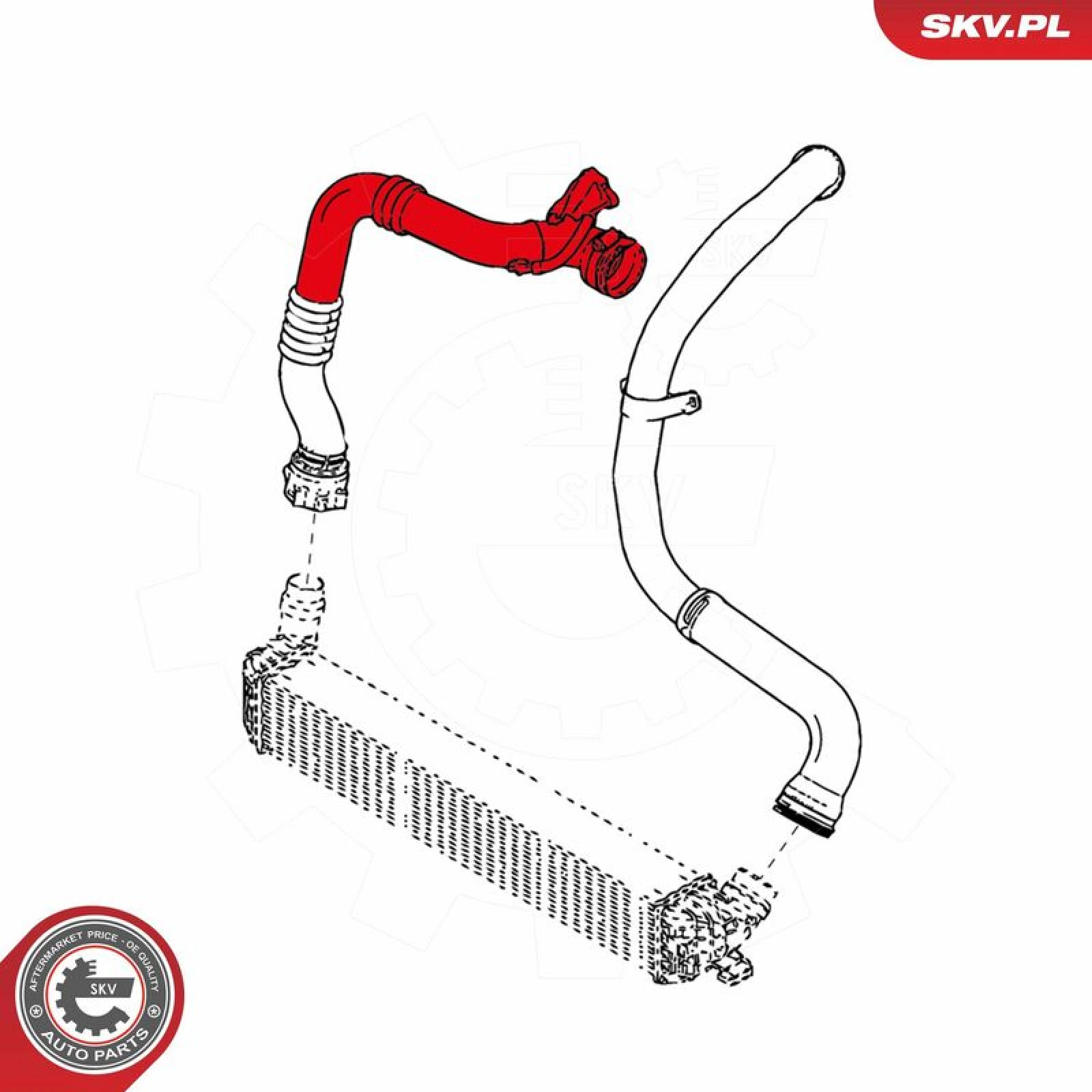SKV GERMANY Luftschlauch 24SKV881