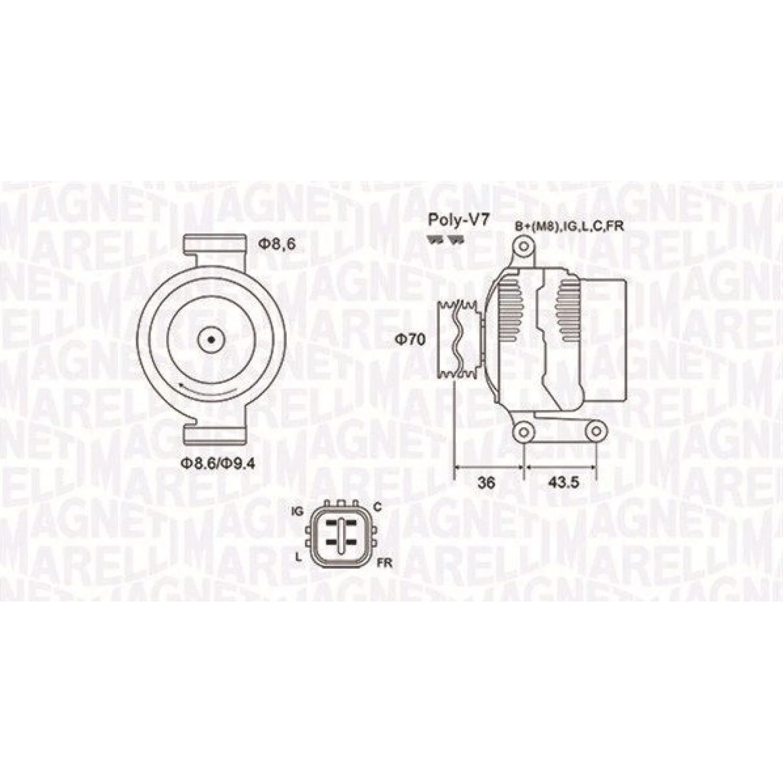 Generator 63731980010