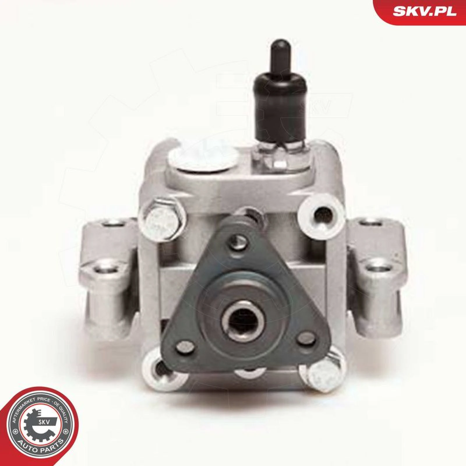 SKV GERMANY Hydraulikpumpe 10SKV109