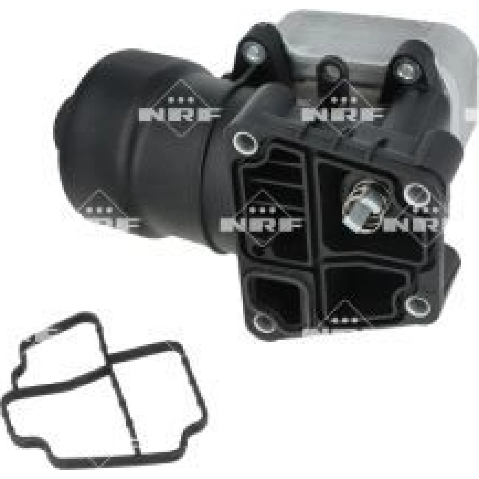 Ölkühler, Motor“L 31355