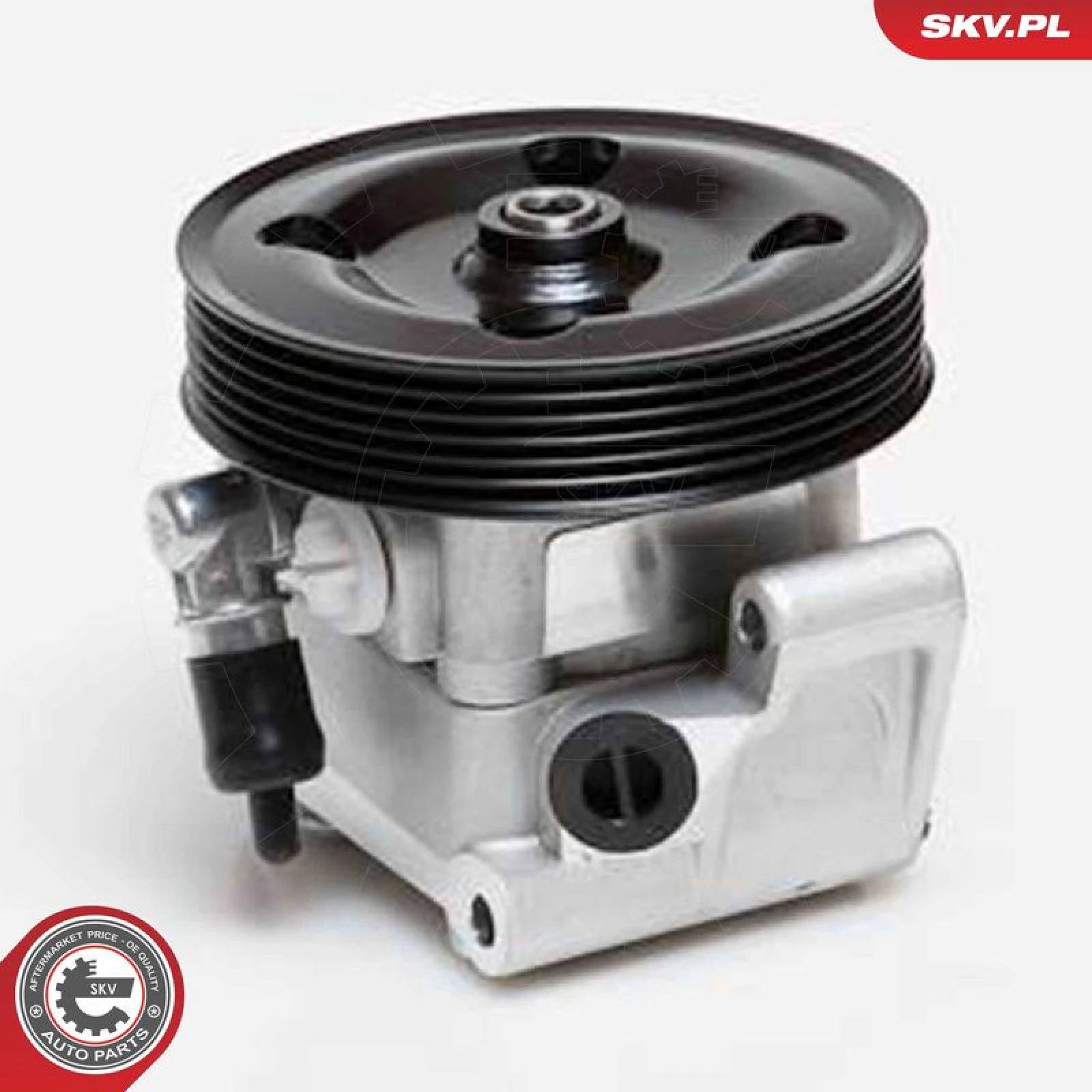 SKV GERMANY Hydraulikpumpe 10SKV091