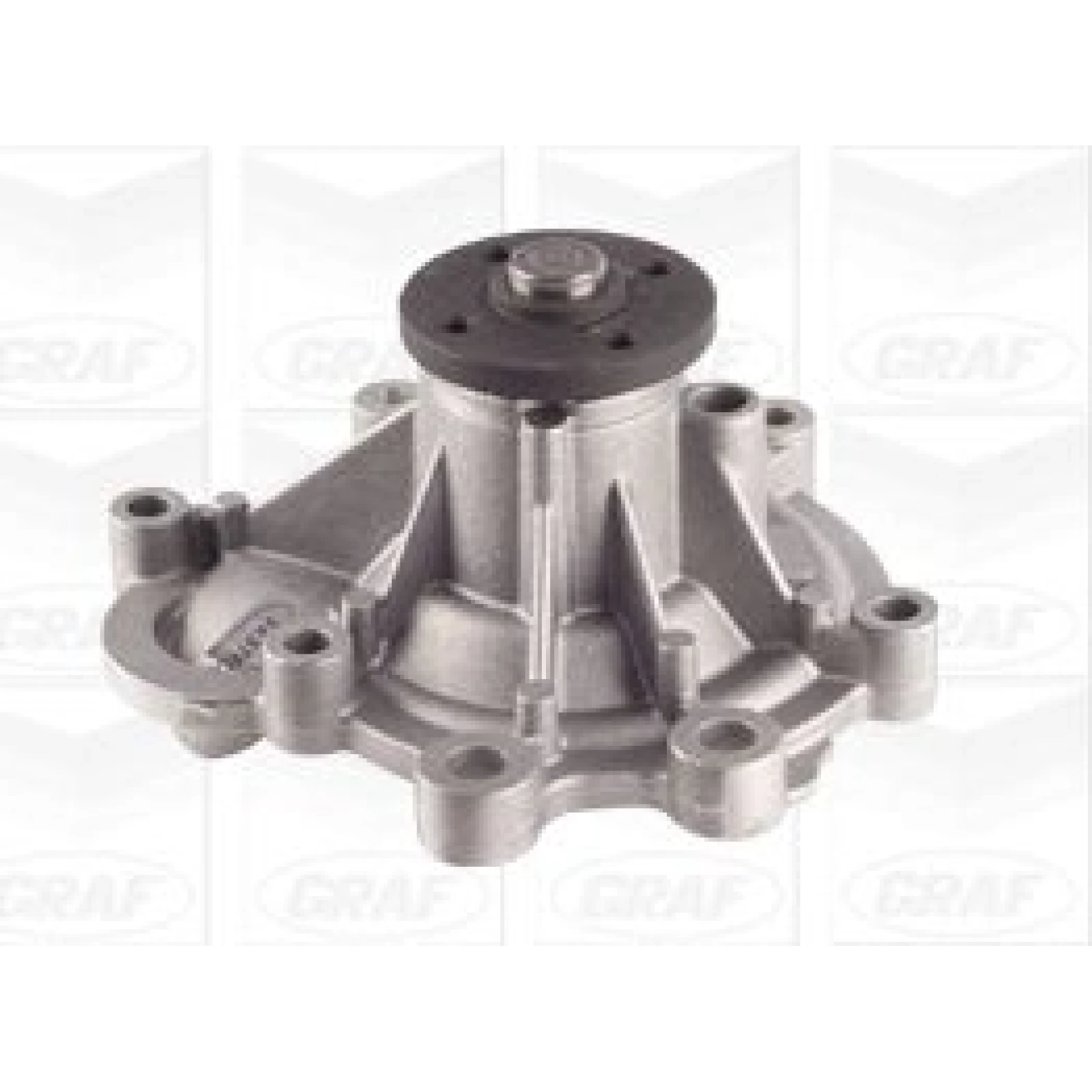 PA 1107 Wasserpumpe PA1107