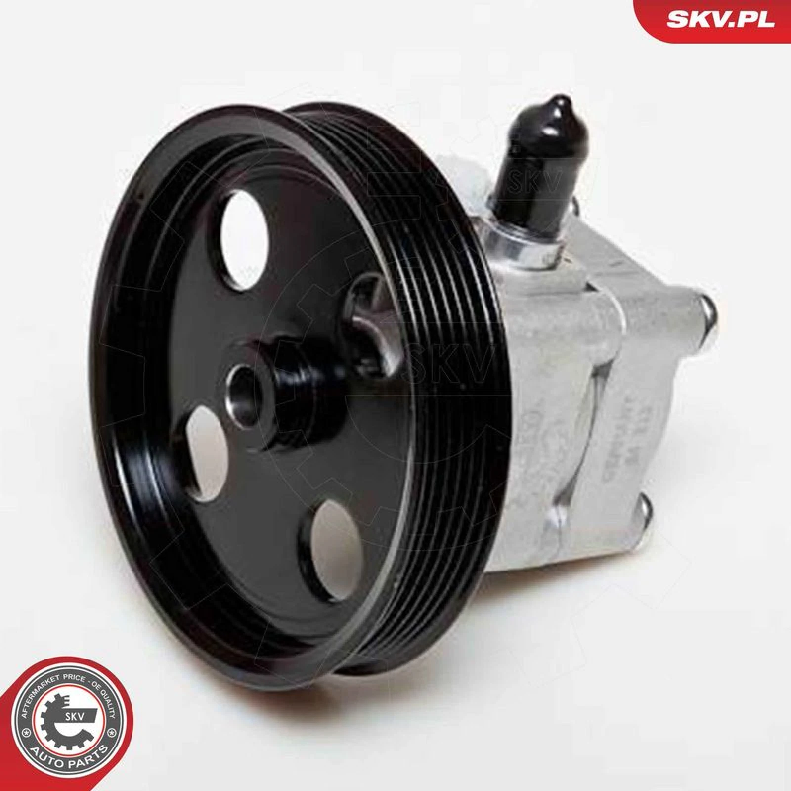 SKV GERMANY Hydraulikpumpe 10SKV177