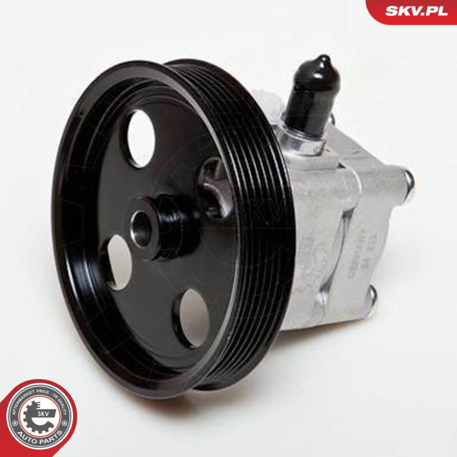 SKV GERMANY Hydraulikpumpe 10SKV177