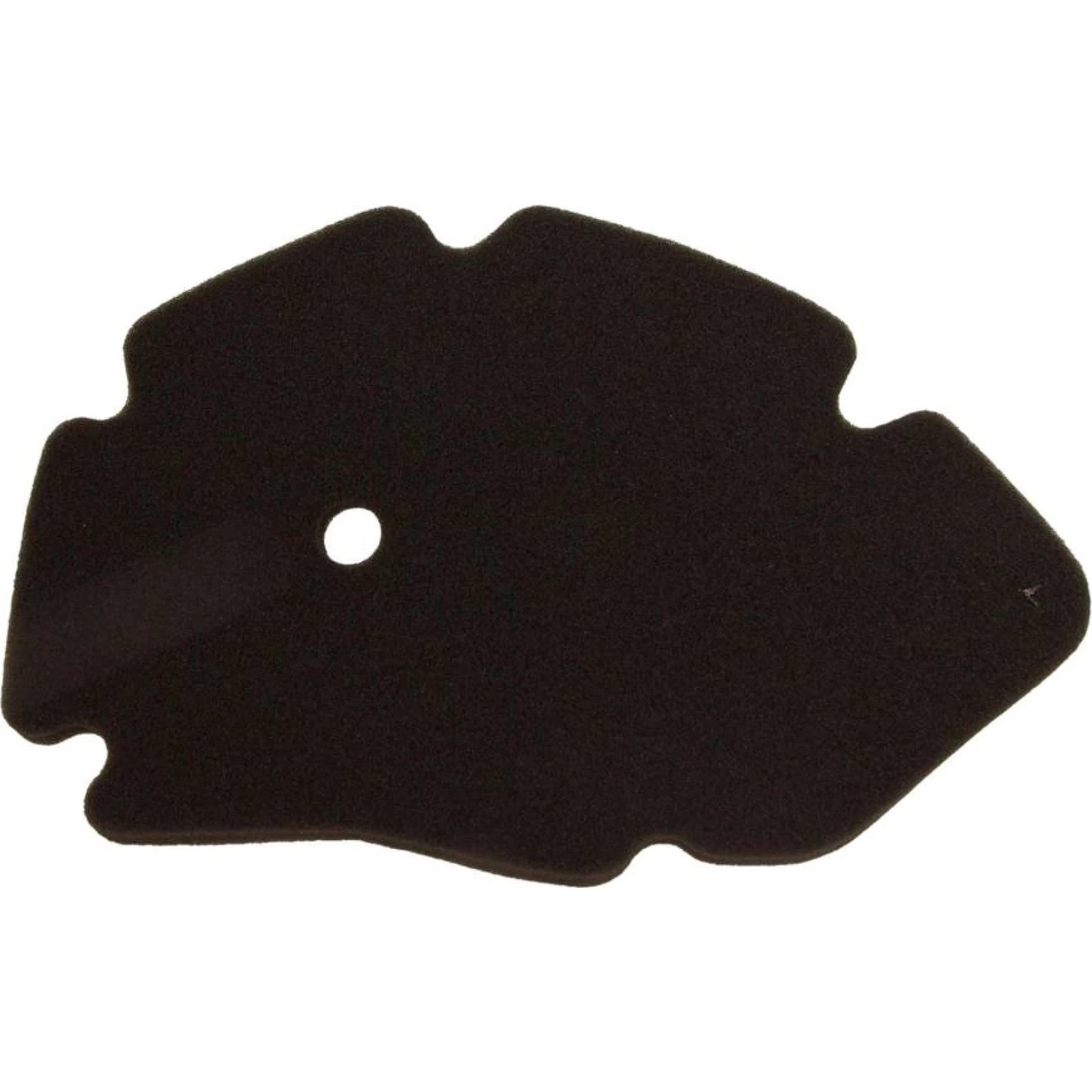 Motorluftfilter. Runner-X9 125-180Cc 10 060 0881