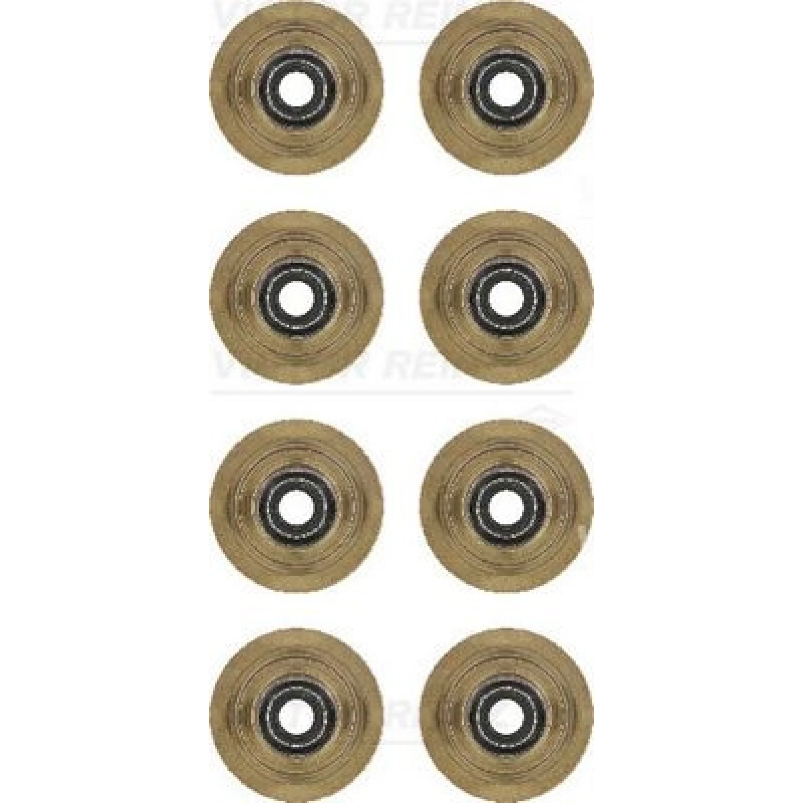 Dichtungssatz Ventilschaft 12-31056-01