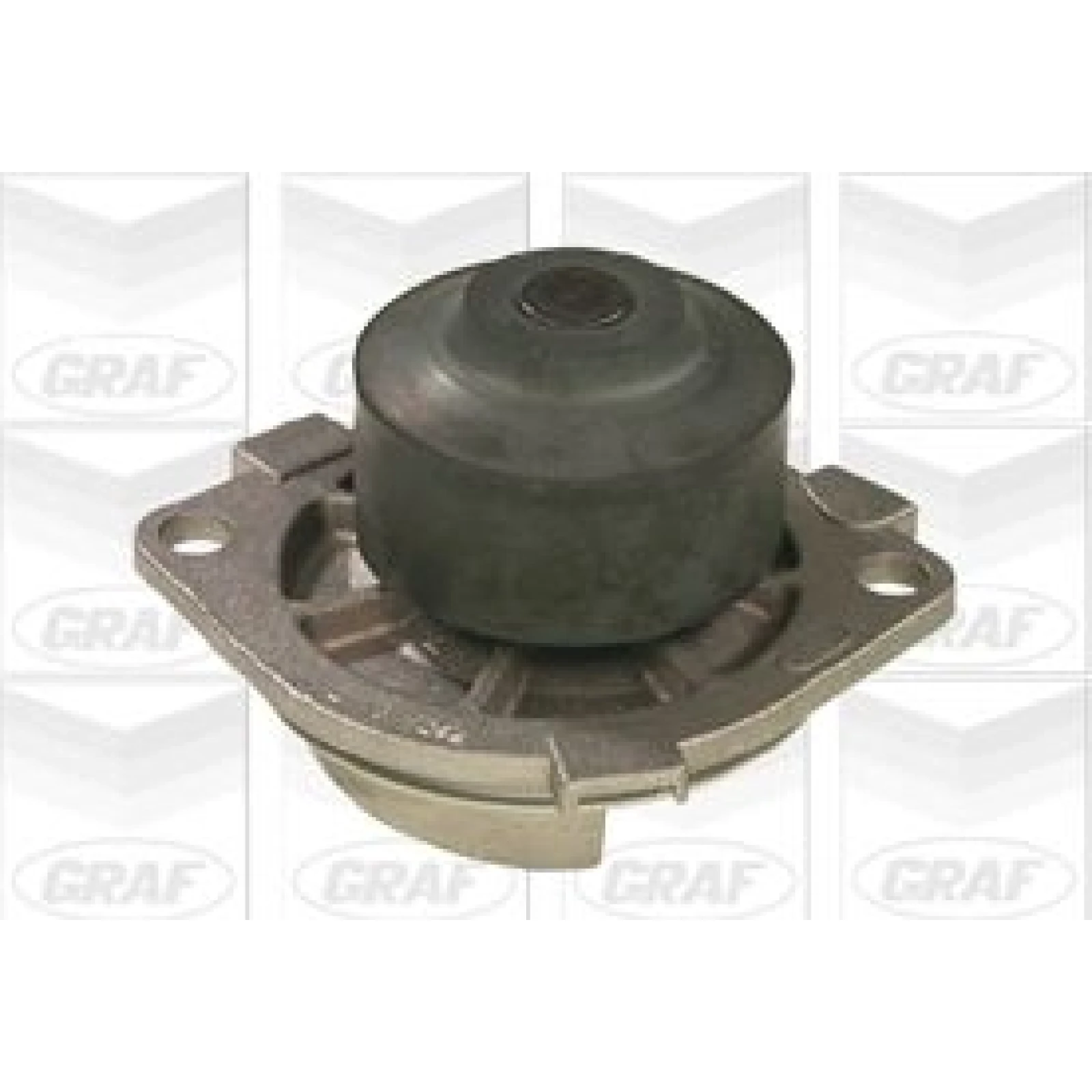 PA 690 Wasserpumpe PA690