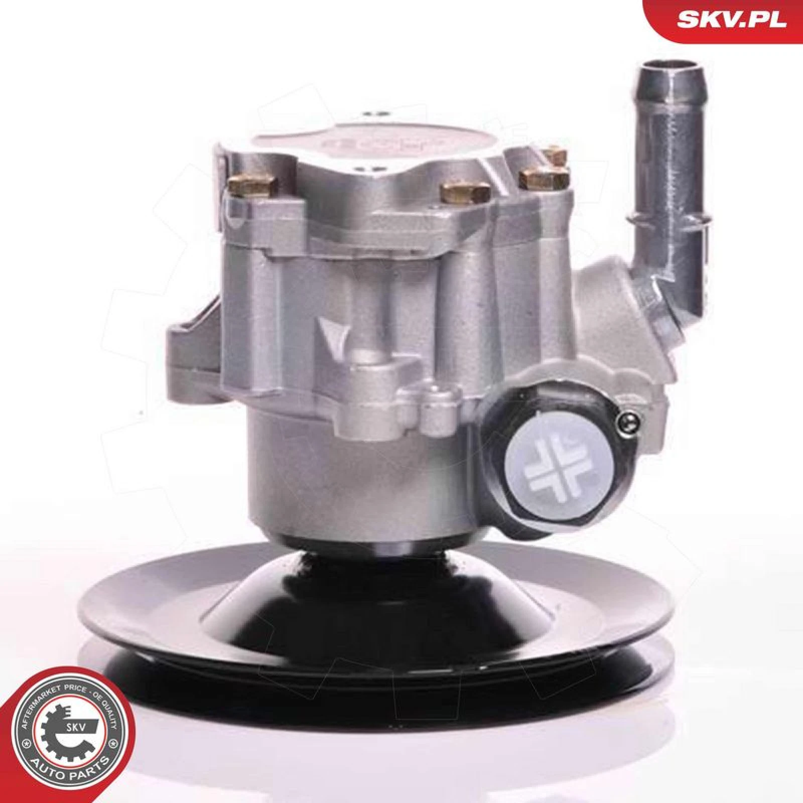 SKV GERMANY Hydraulikpumpe 10SKV169