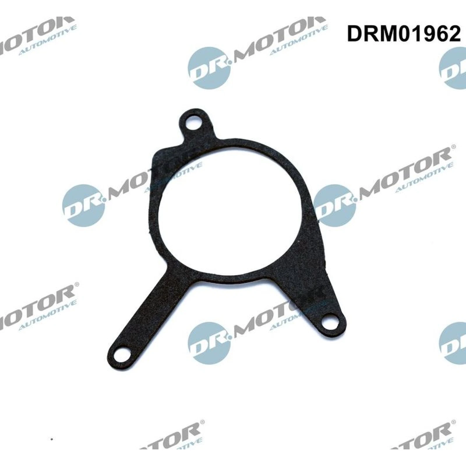 Dichtung, Unterdruckpumpe DRM01962