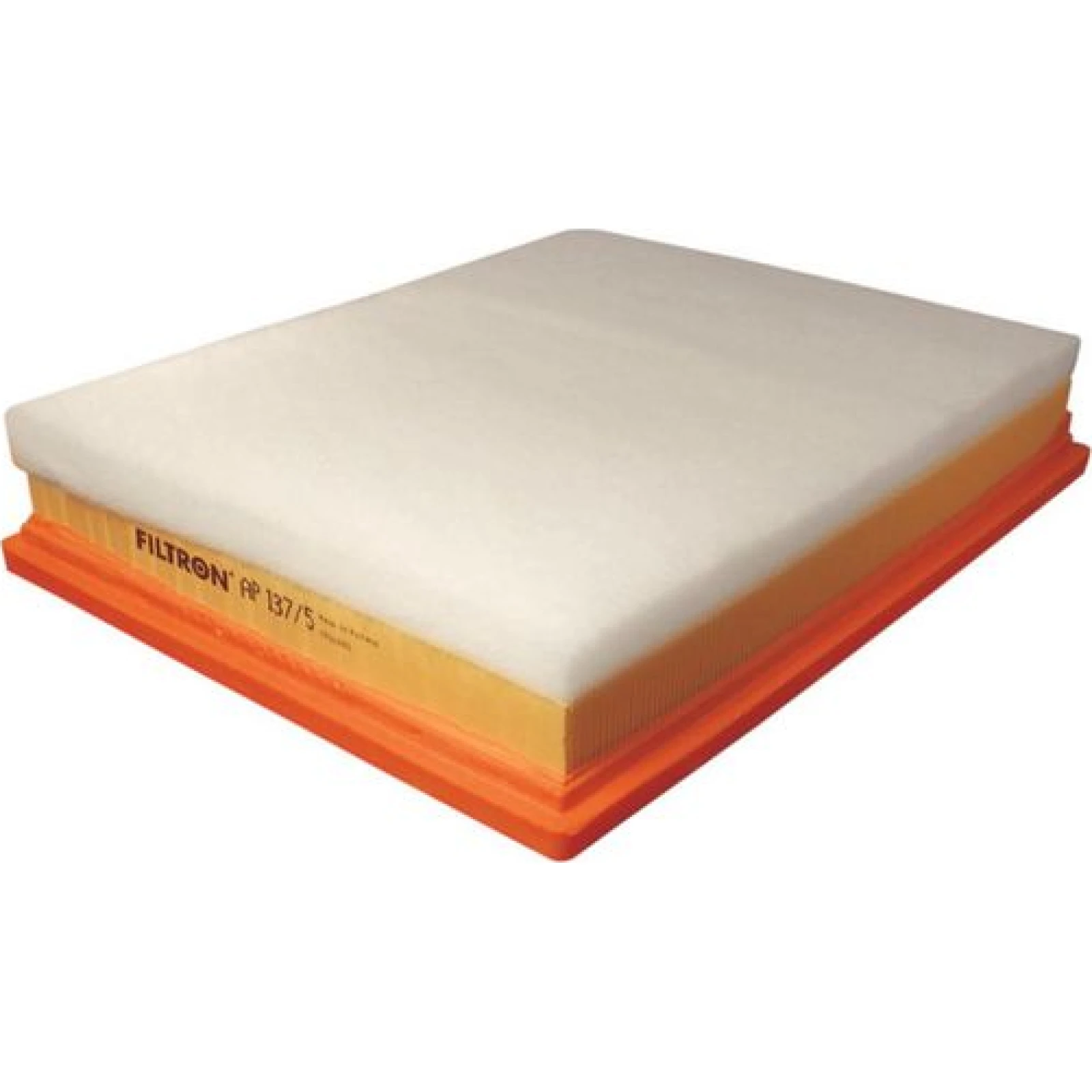 FILTRON Luftfilter AP 137/5