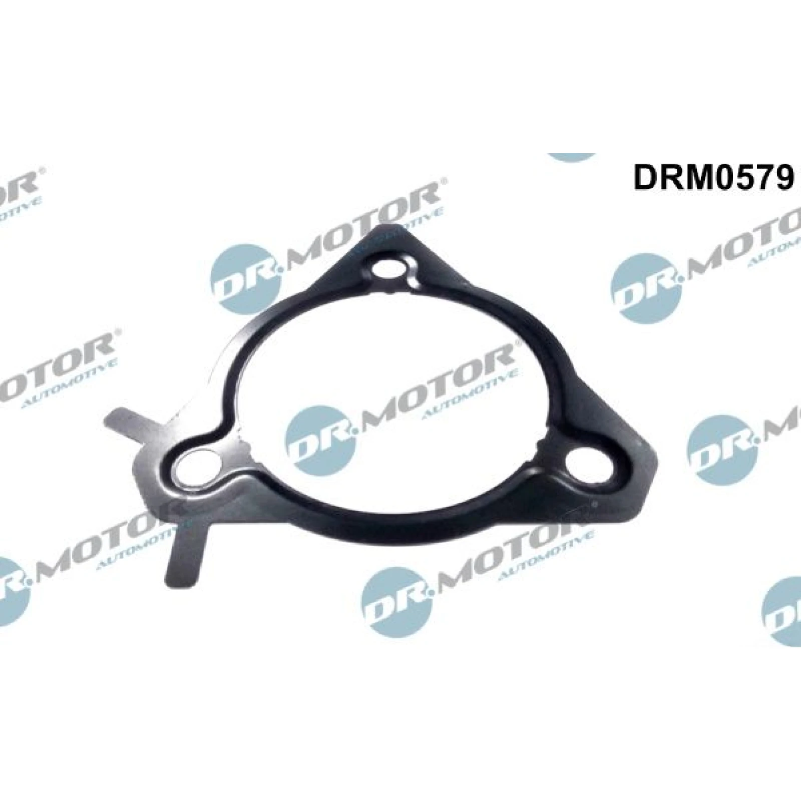 Dichtung, Einspritzpumpe DRM0579