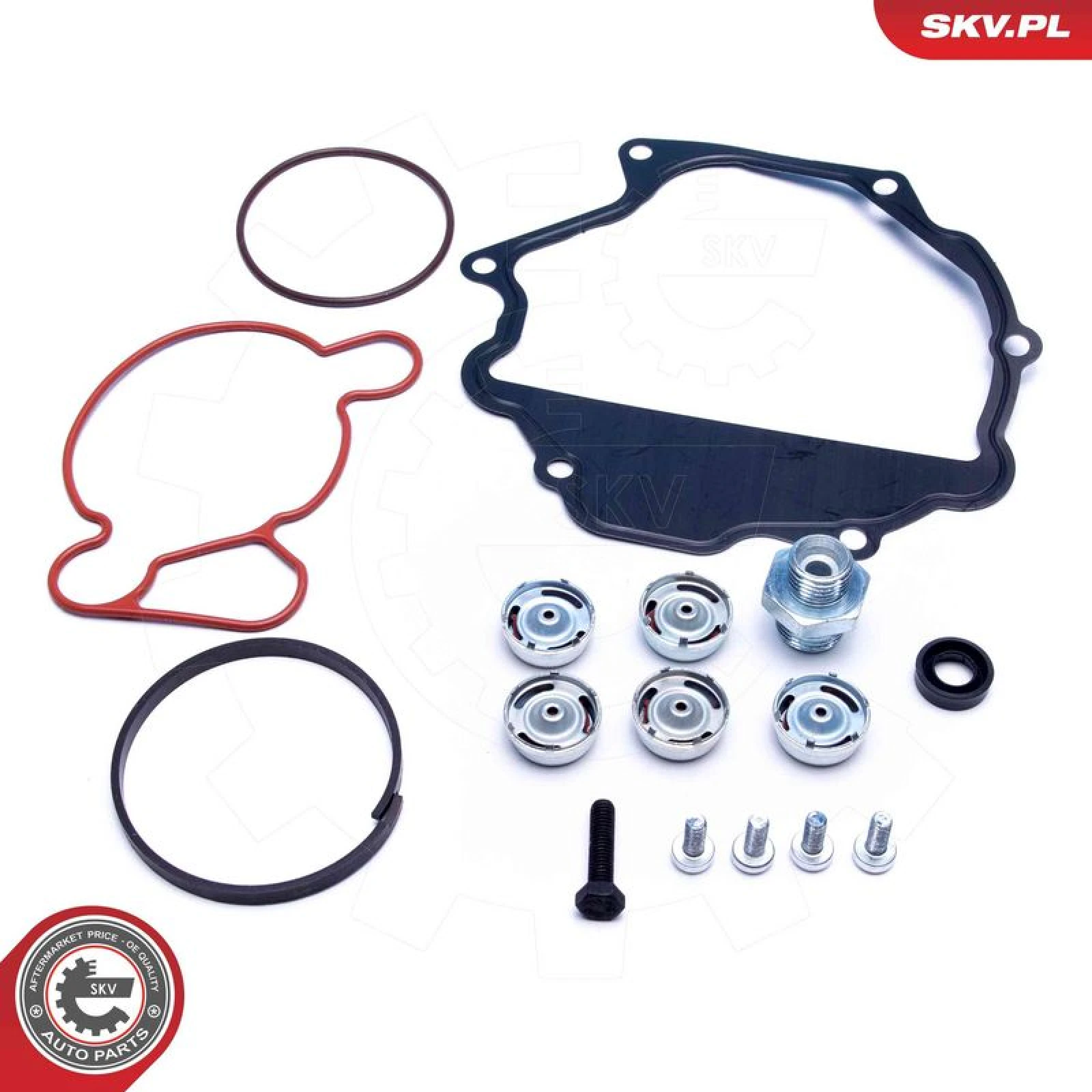 ESEN SKV Reparatursatz, Unterdruckpumpe (Bremsanlage) 18SKV809