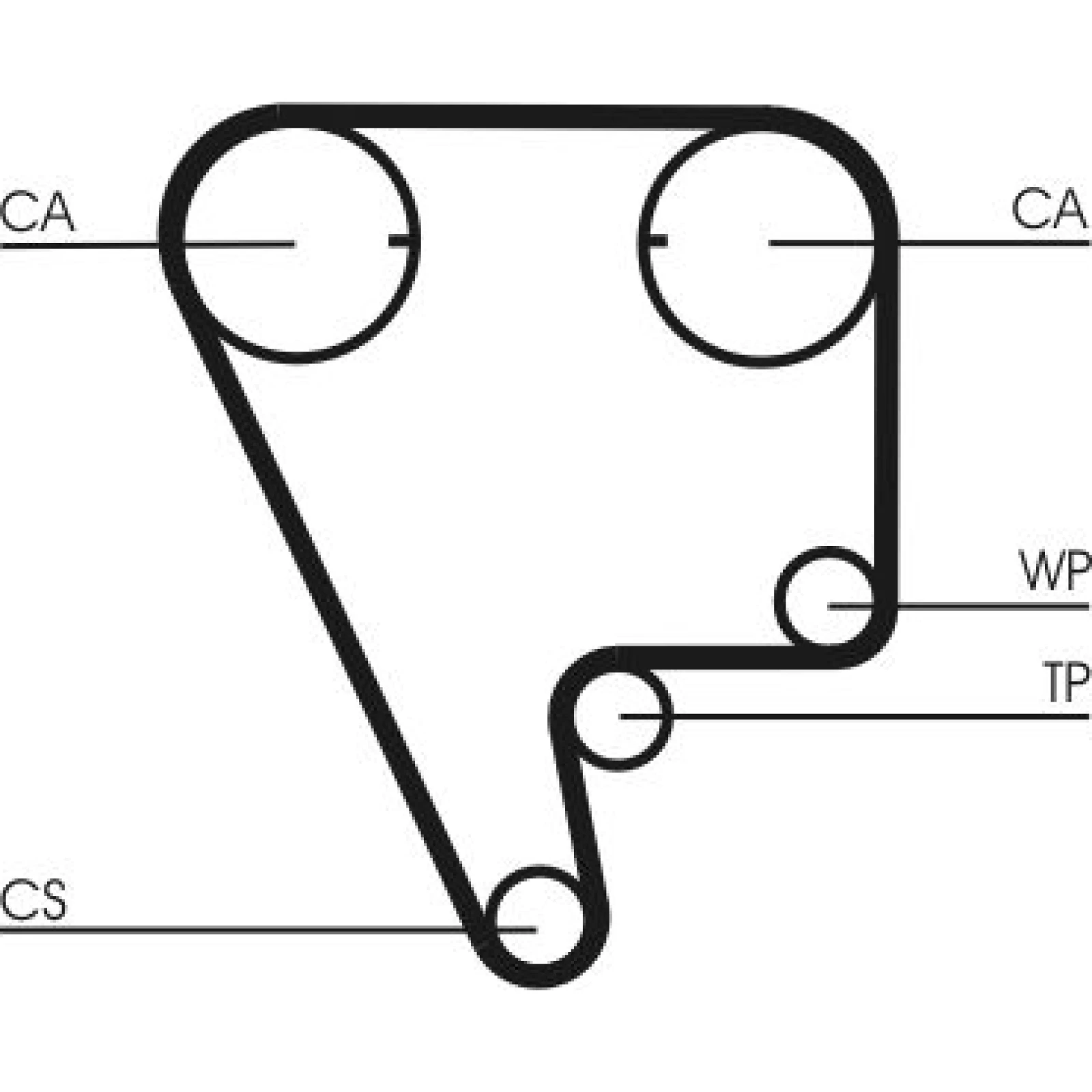 Continental CTAM Zahnriemen CT804