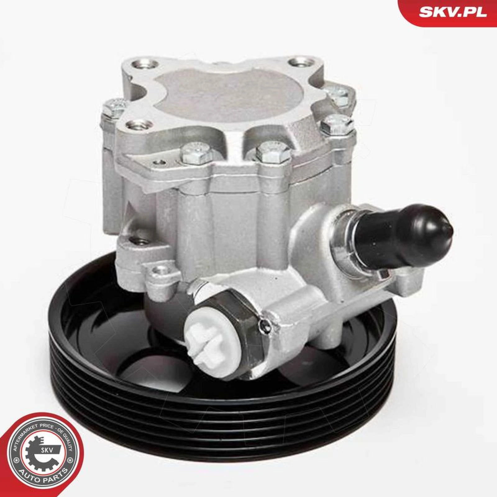 SKV GERMANY Hydraulikpumpe 10SKV023