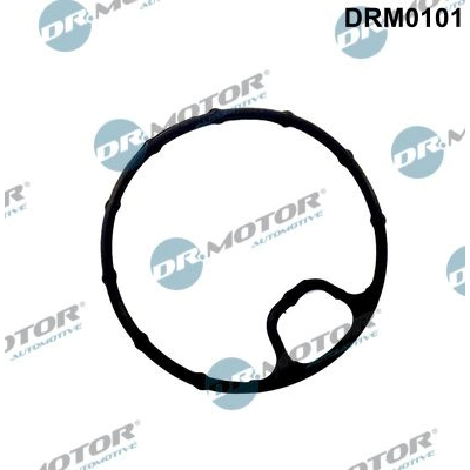Ölfiltergehäuse Dichtung DRM0101