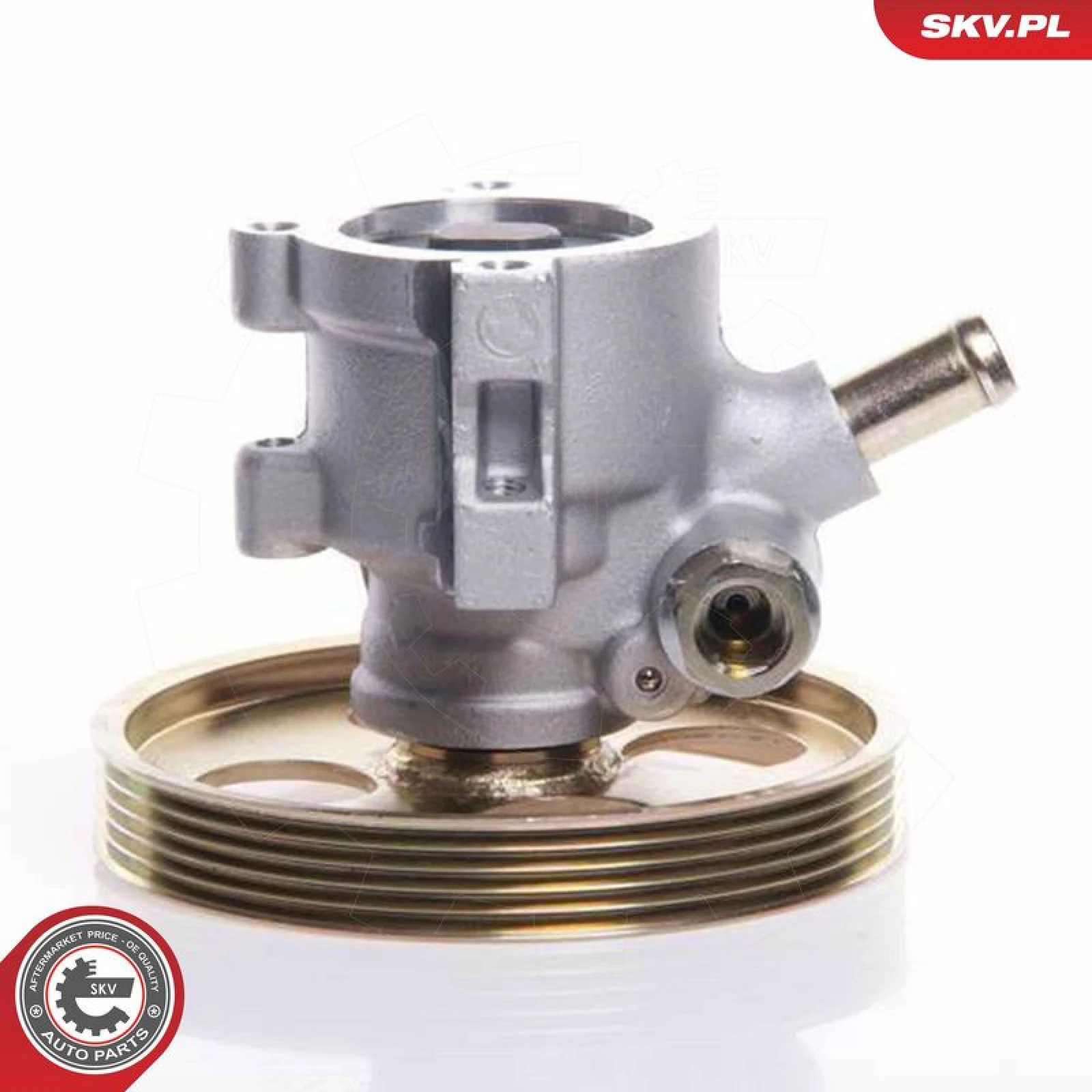 SKV GERMANY Hydraulikpumpe 10SKV119
