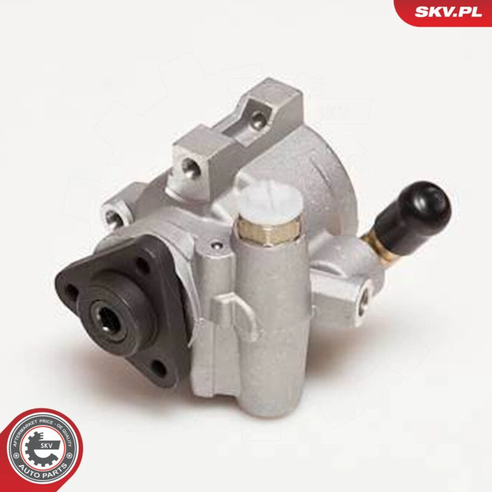 SKV GERMANY Hydraulikpumpe 10SKV055