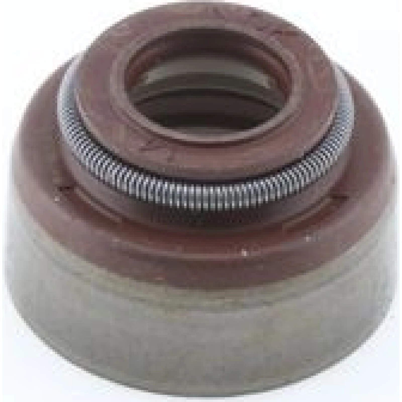 Dichtring, Ventilschaft 49472834