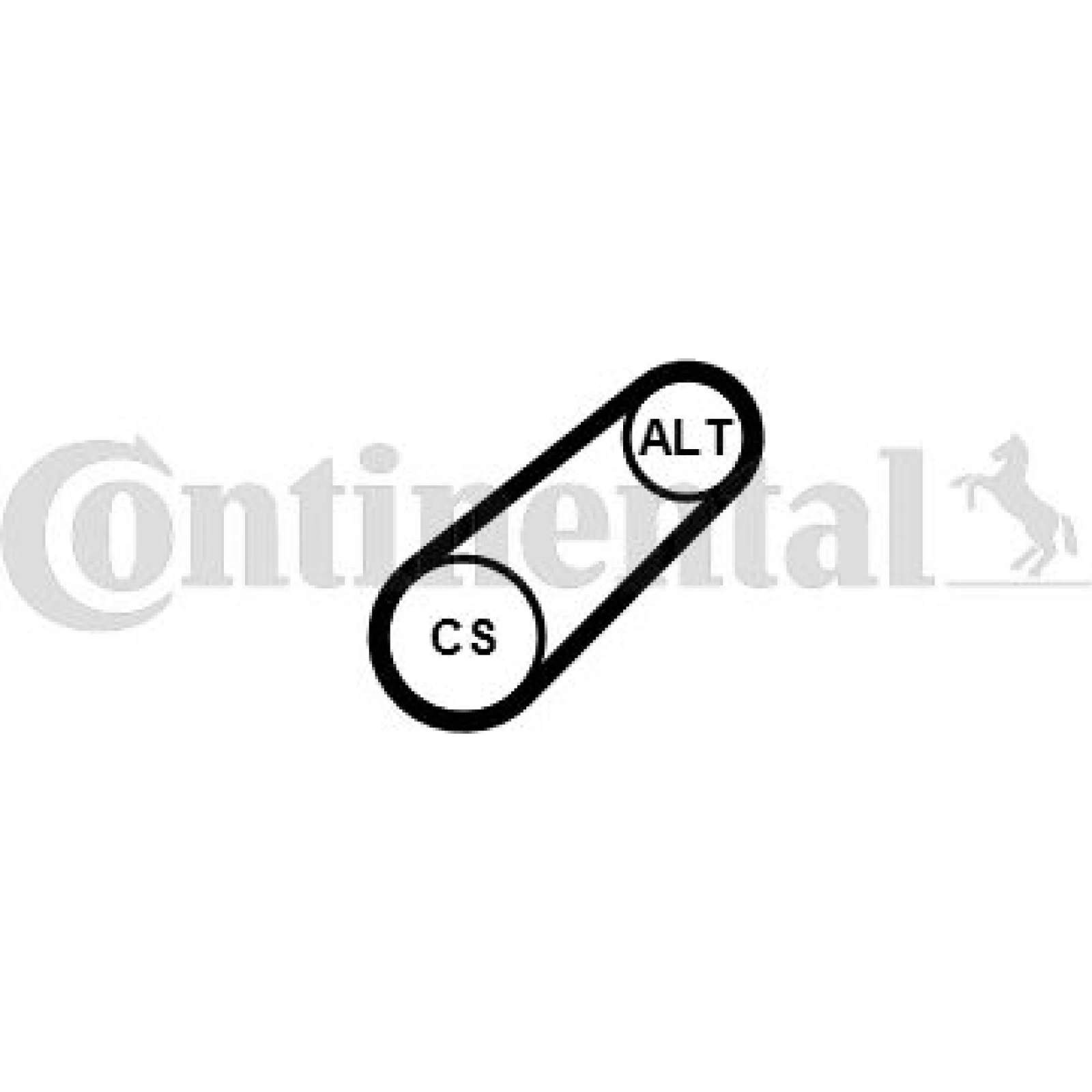 CONTINENTAL CTAM Keilrippenriemen 6PK799 ELAST